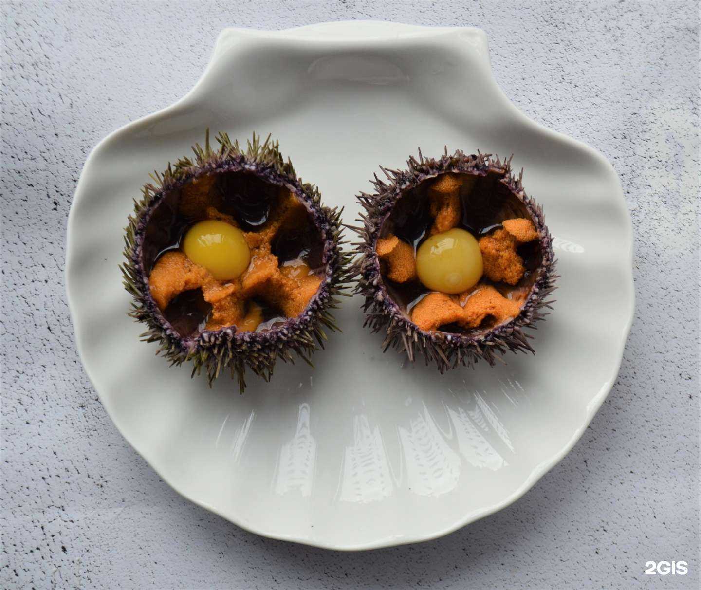 Отзывы на компанию Мидии и вино в г. Геленджик c фото