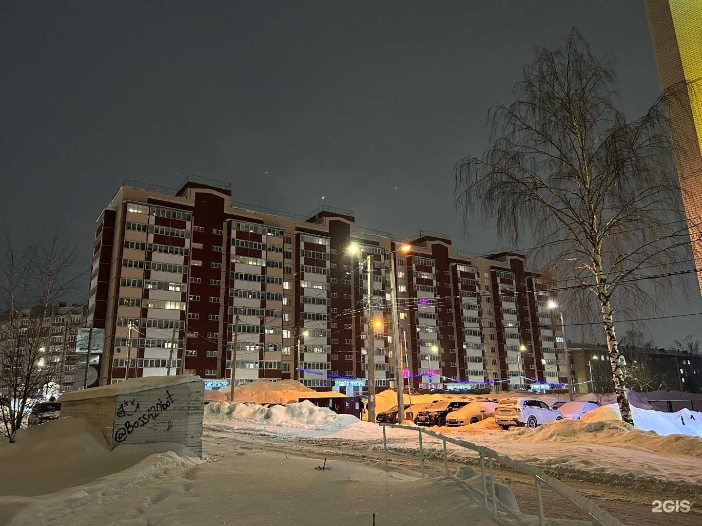 Отзывы на компанию Sobaka Style в Кирове c фото - фотография 2 из 2