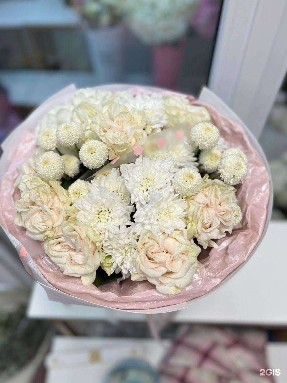 Отзывы на компанию World Party  в Ессентуках c фото