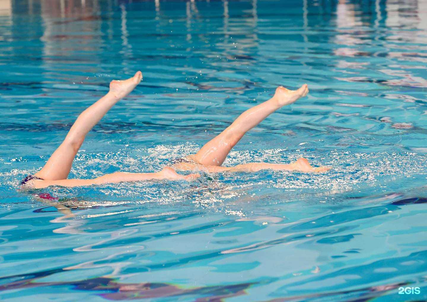 Отзывы на компанию Федерация синхронного плавания Красноярского края в г. Красноярск c фото