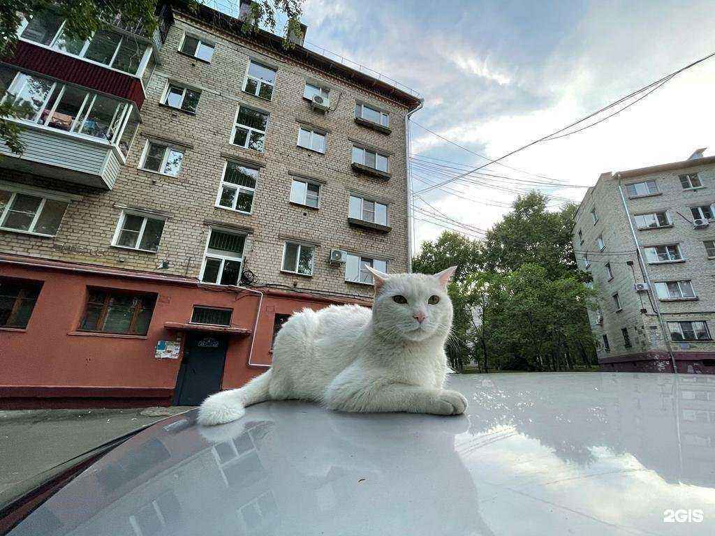 Отзывы на компанию Мурзилка в Хабаровске c фото - фотография 2 из 2