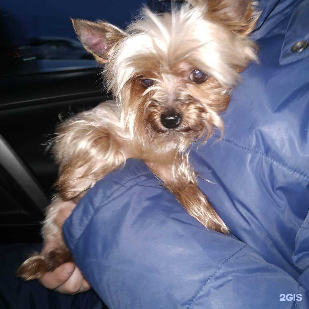 Отзывы на компанию B2b в Архангельске c фото