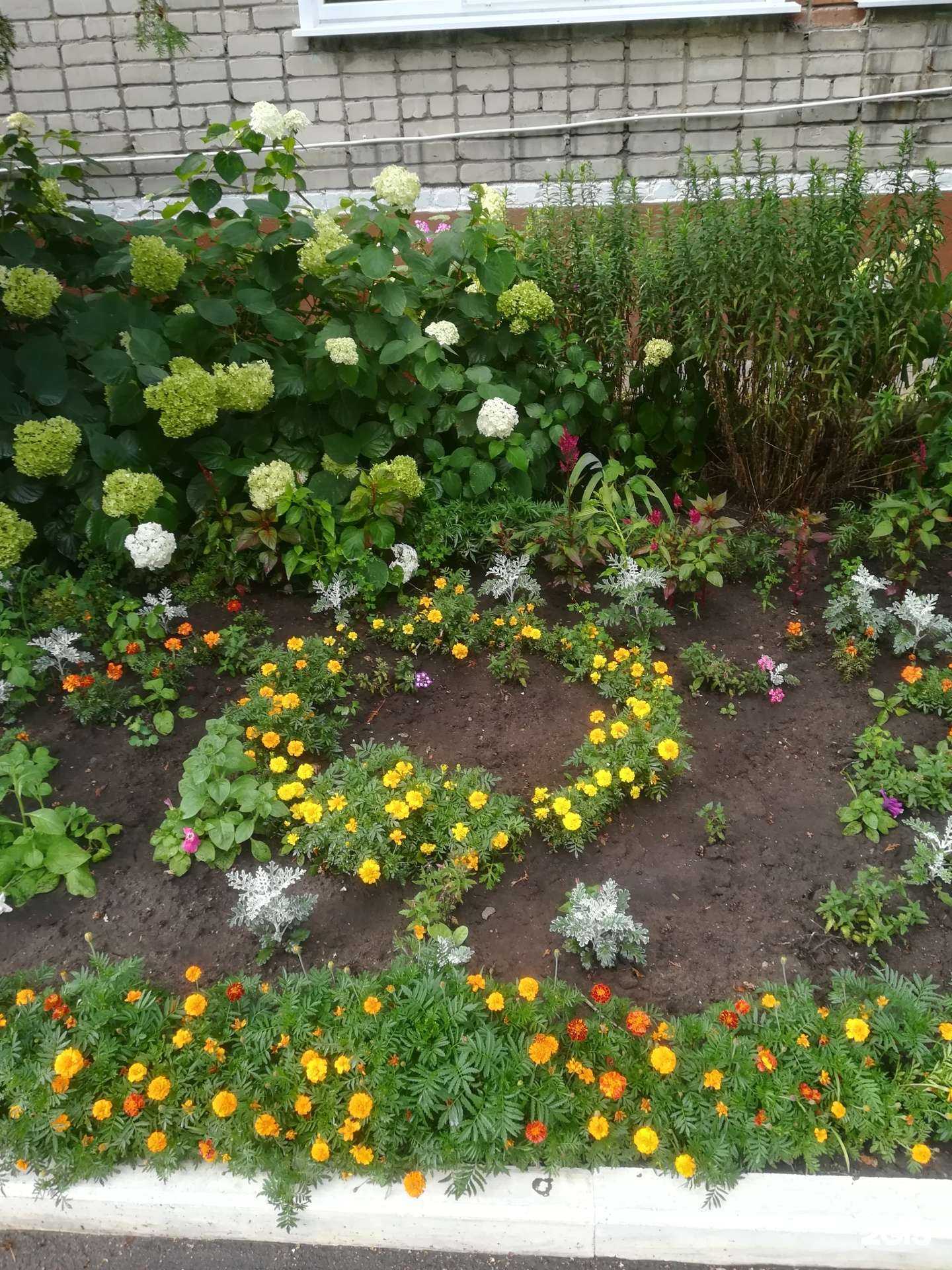 Отзывы на компанию Детский сад №5 в Елеце c фото