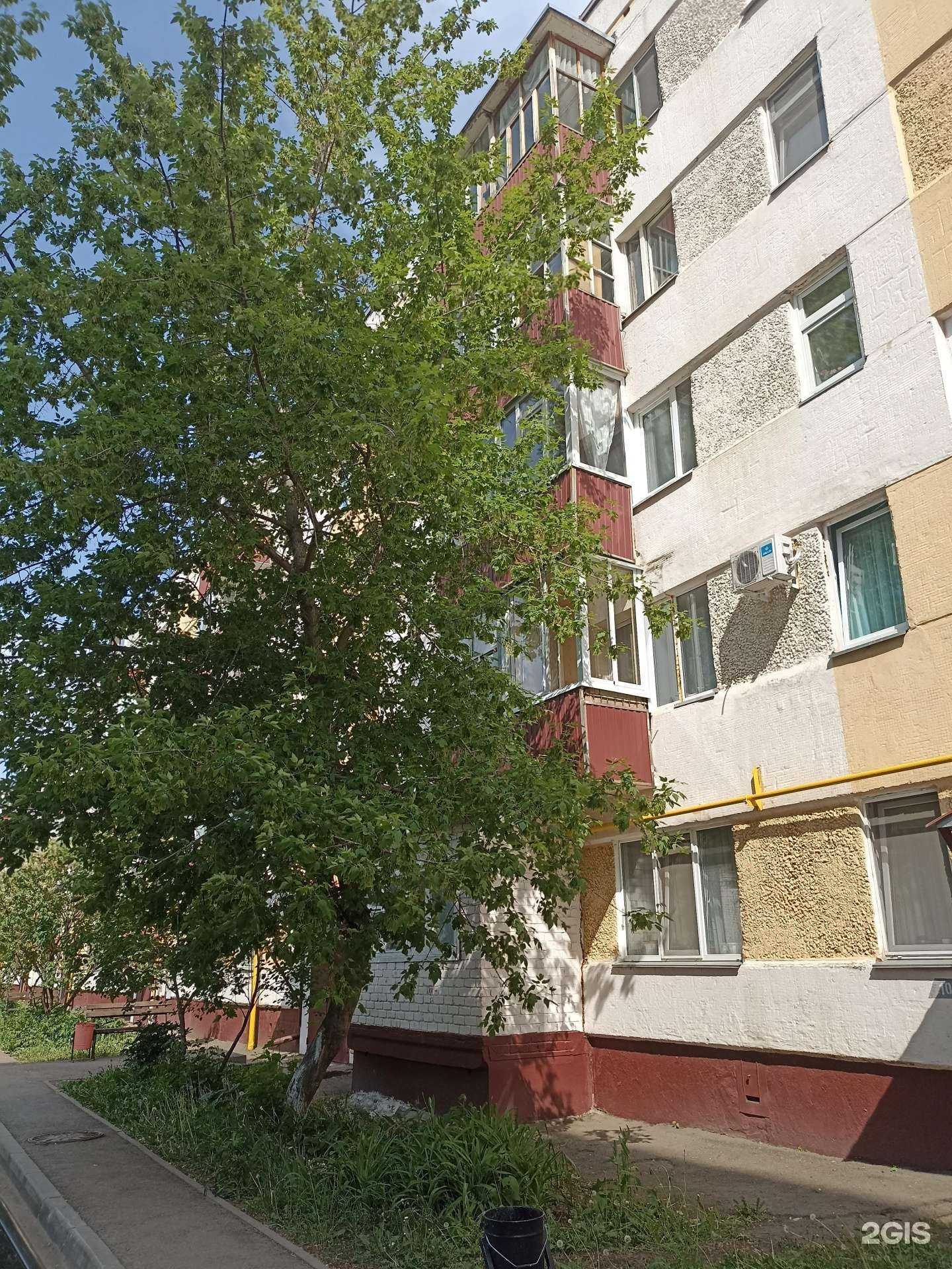 Отзывы на компанию Фараон в Нижнекамске c фото - фотография 2 из 2