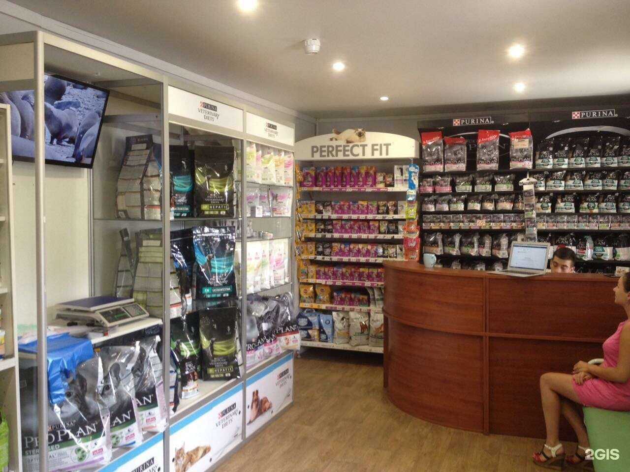 Отзывы на компанию Четыре лапы в Волгограде c фото