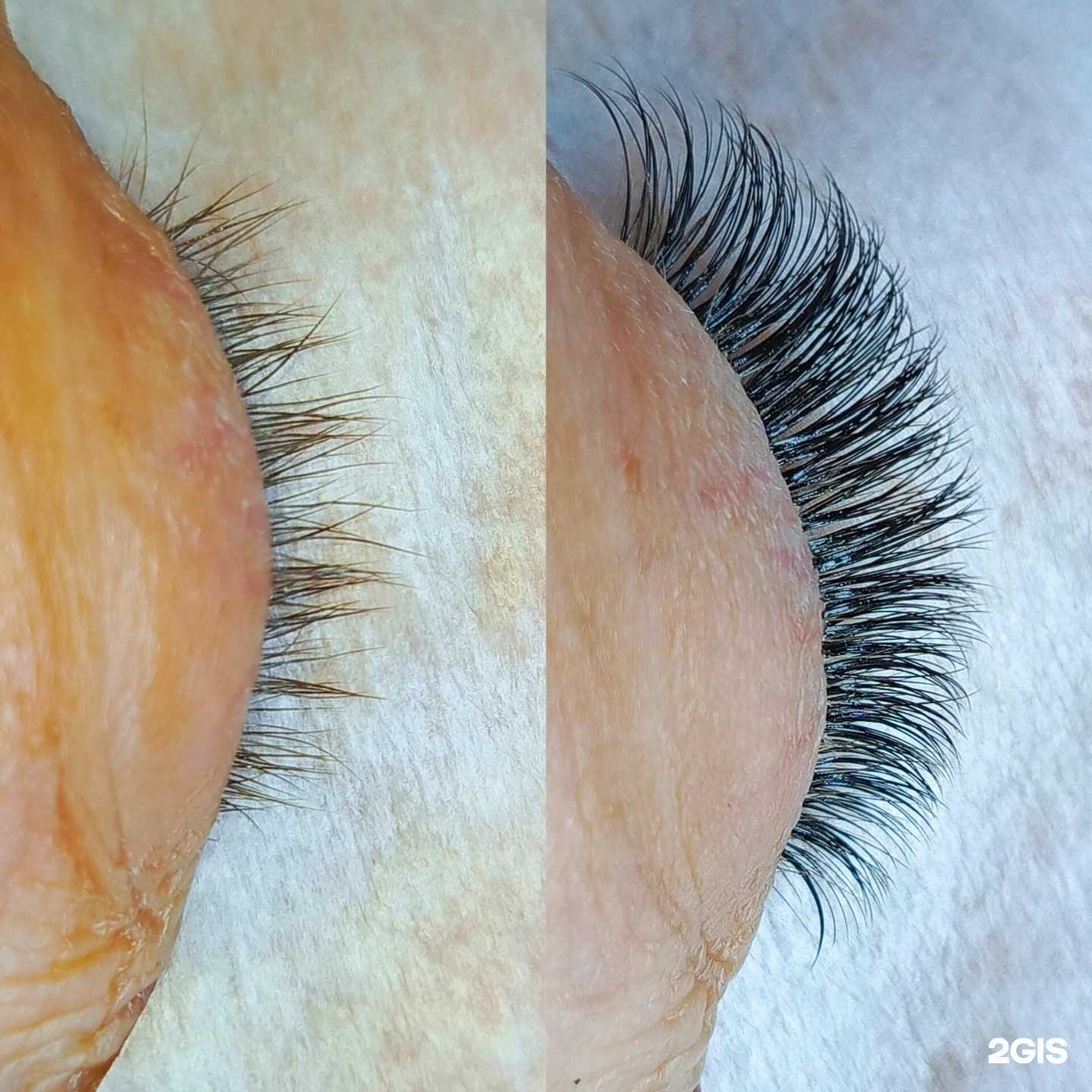 Отзывы на компанию Andromeda в г. Петропавловск-Камчатский c фото