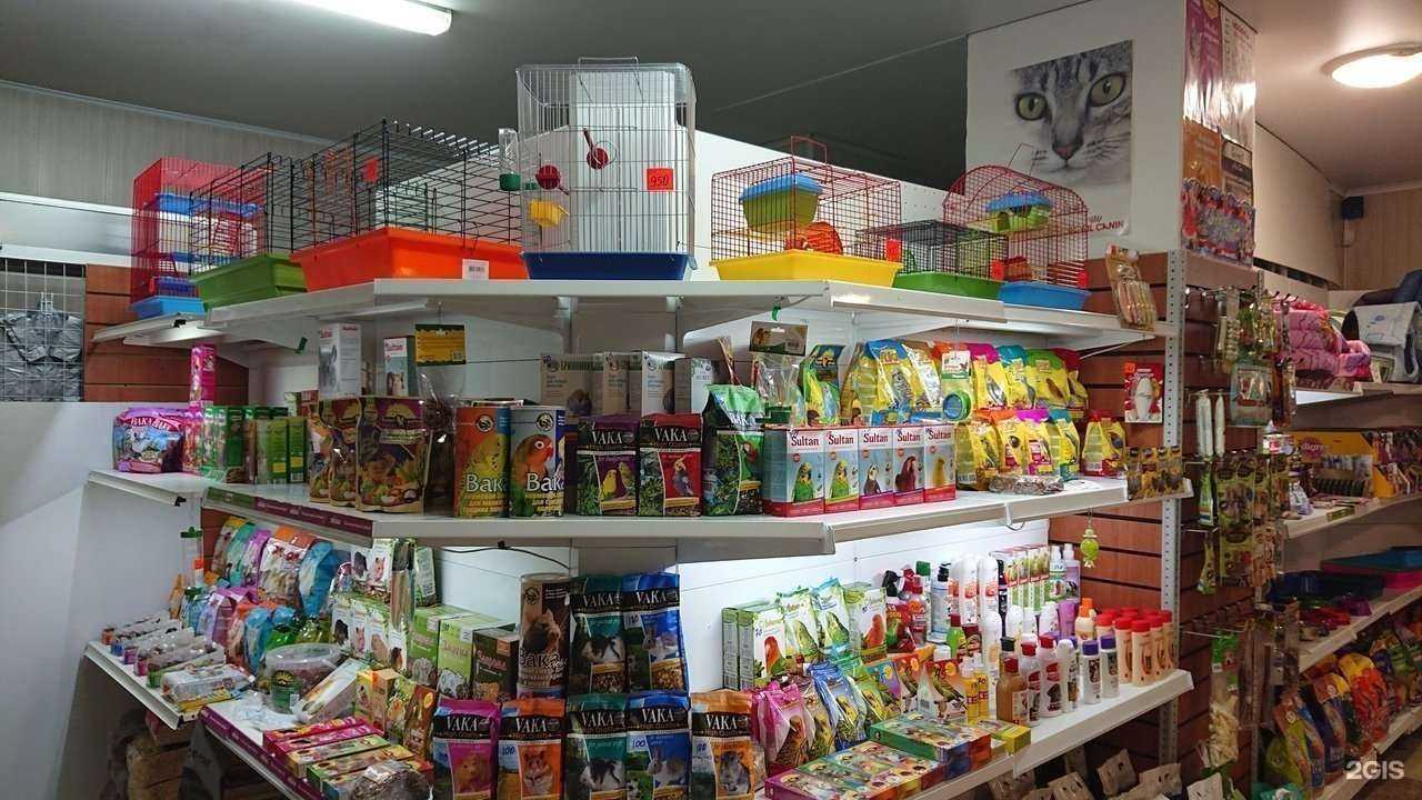 Отзывы на компанию ZooRoom в Ставрополе c фото