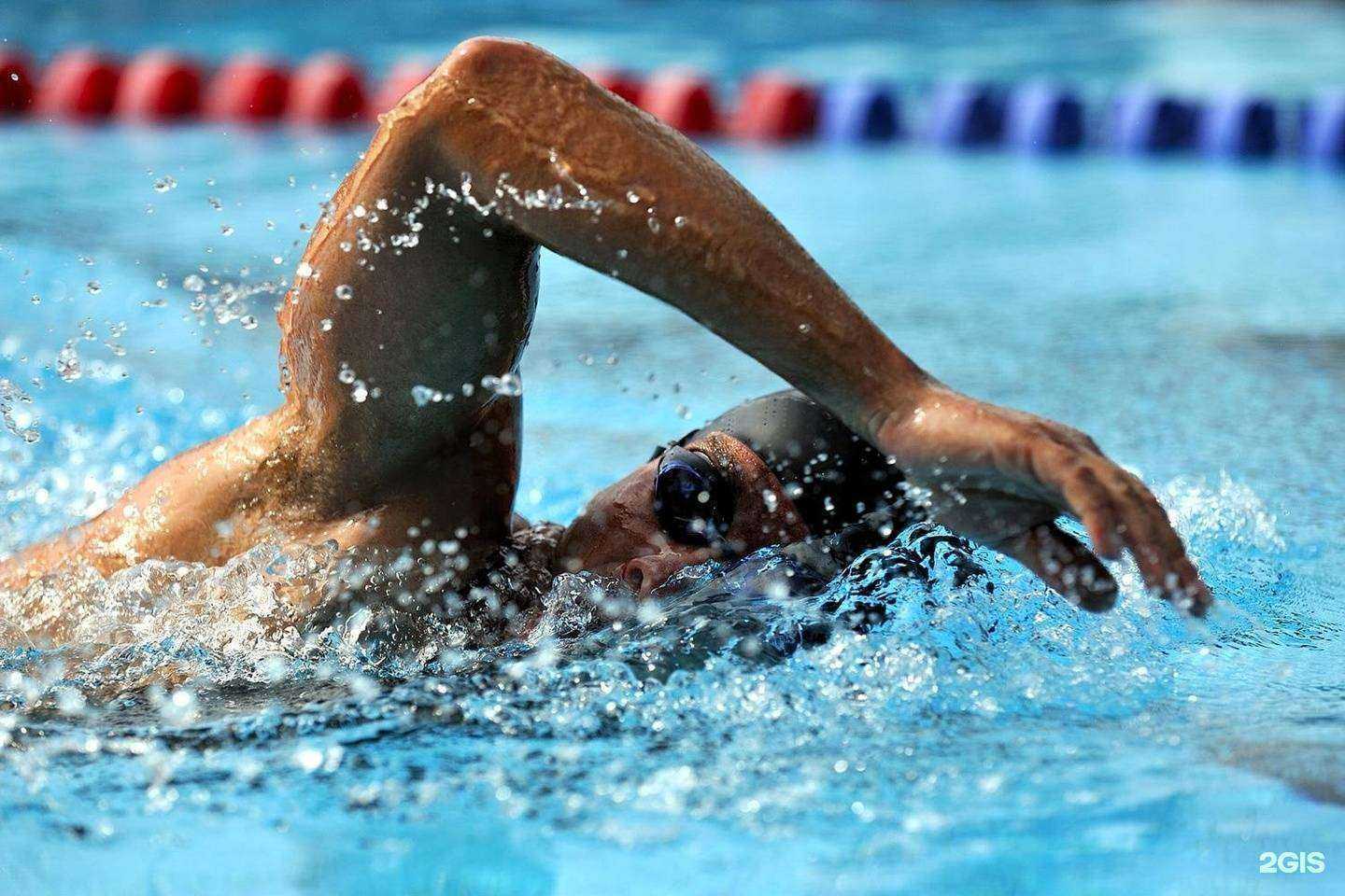 Отзывы на компанию Дельфин в г. Владимир c фото