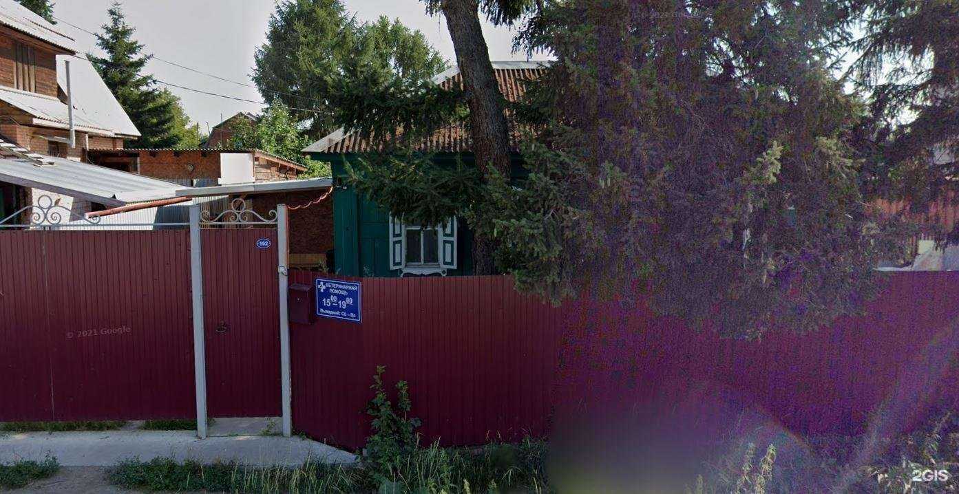 Отзывы на компанию Ветеринарный кабинет в Омске c фото