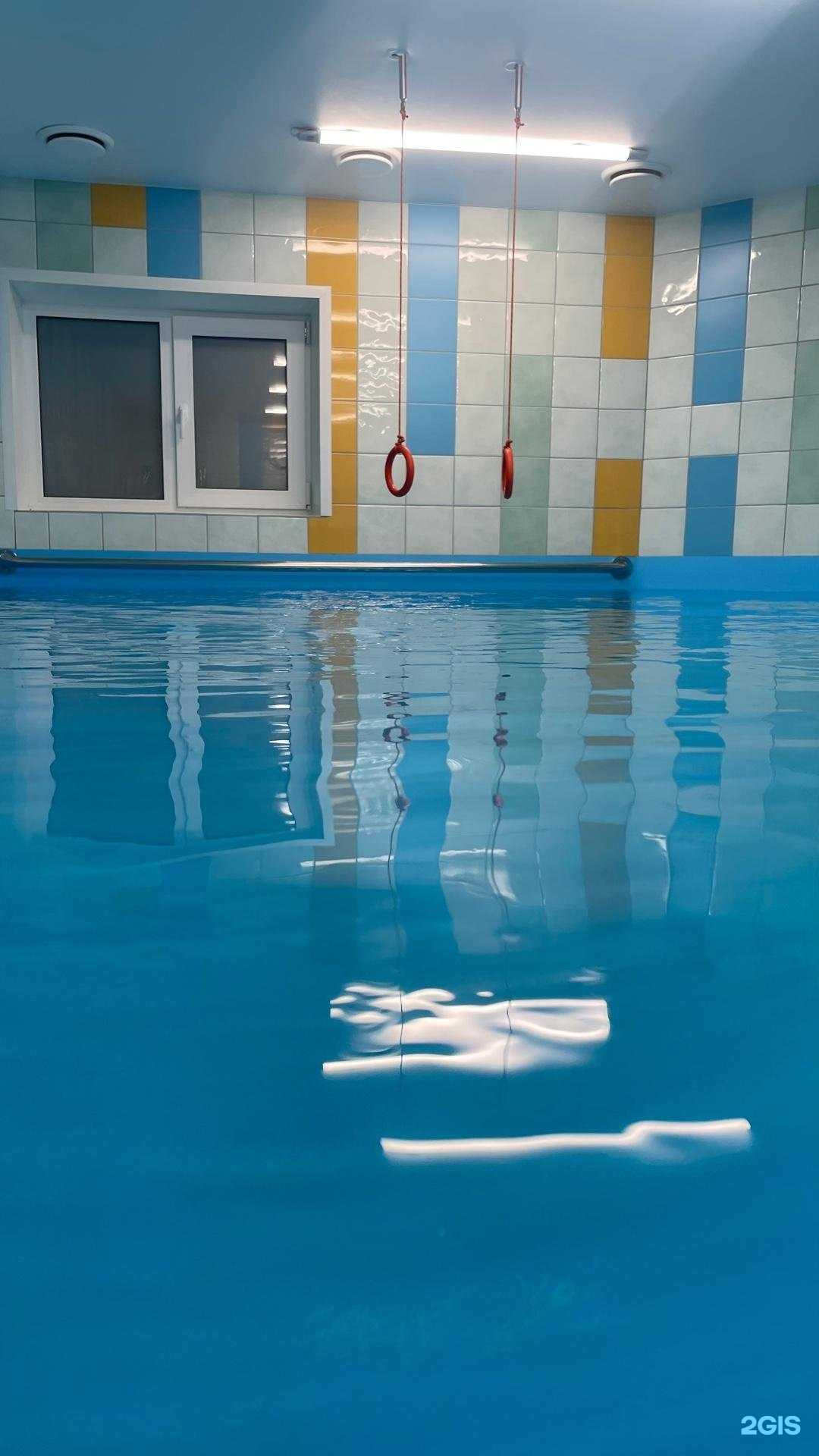 Отзывы на компанию Заморские котики в Самаре c фото