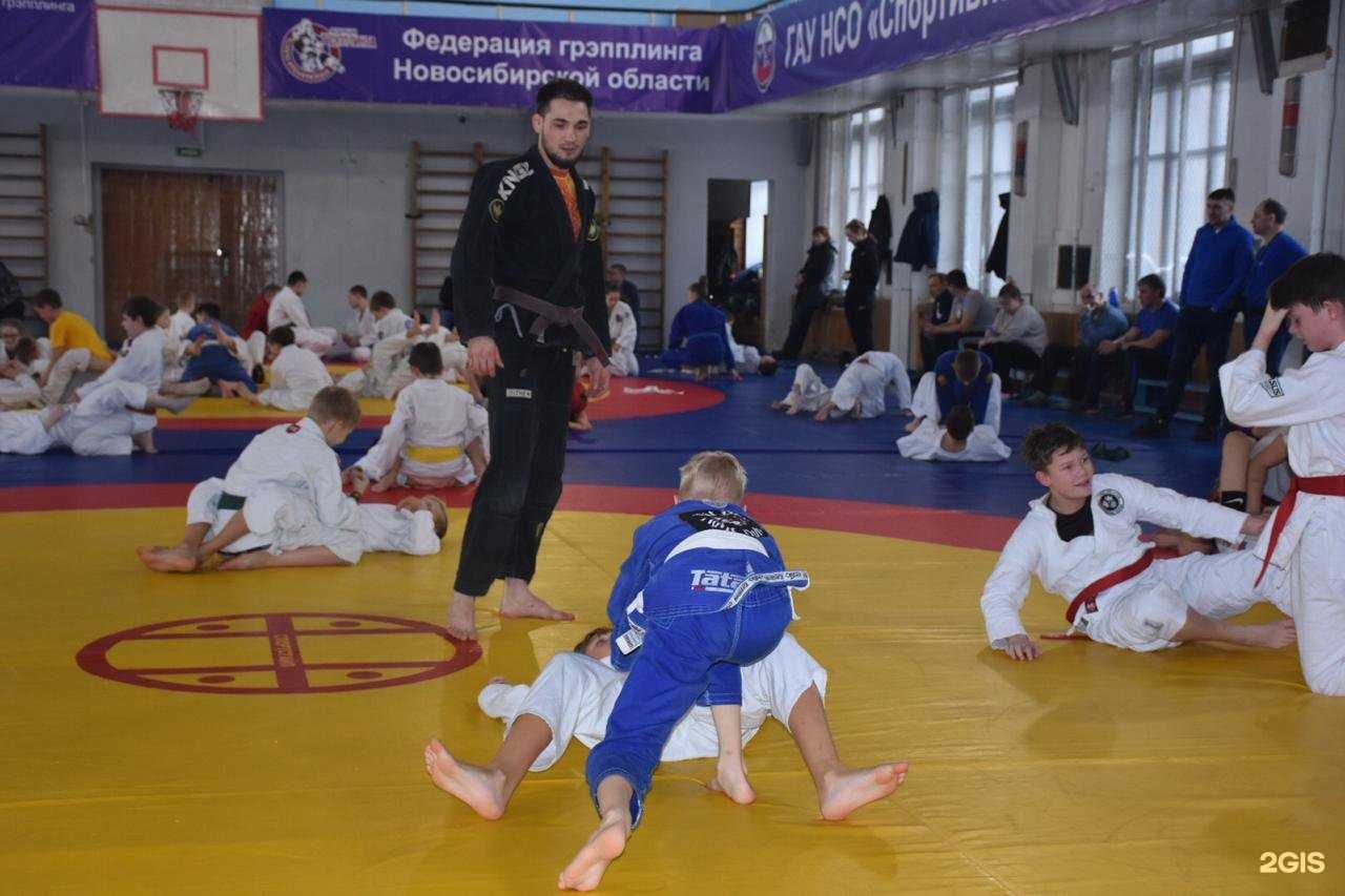 Отзывы на компанию Грэпплинг в Новосибирске c фото