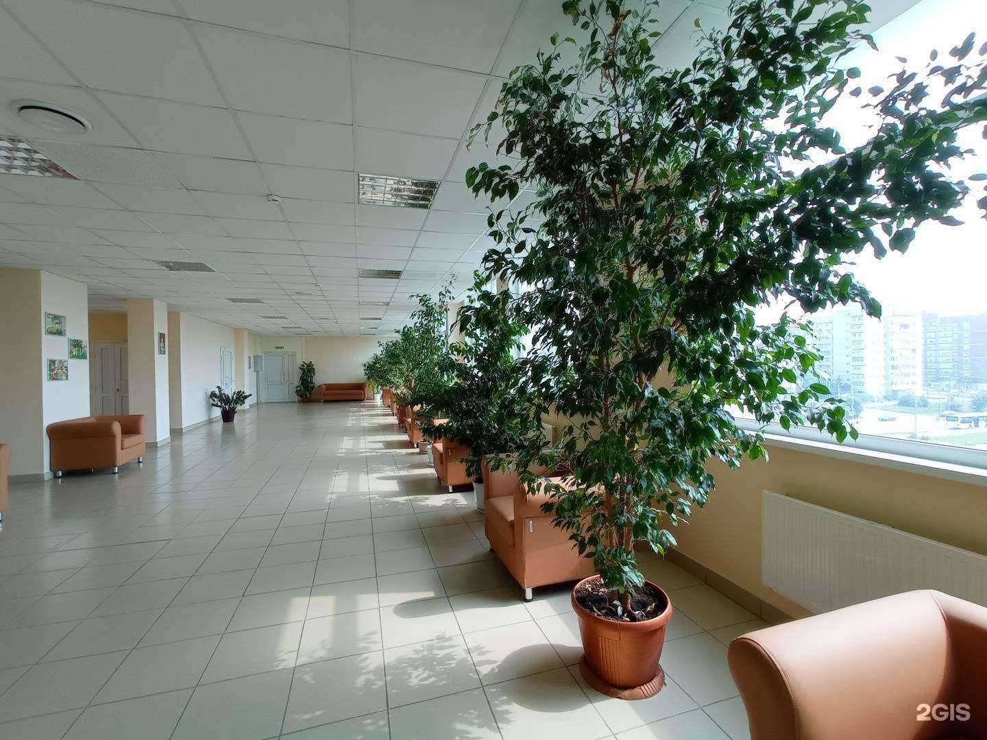 Отзывы на компанию Амурский областной перинатальный центр в Благовещенске c фото