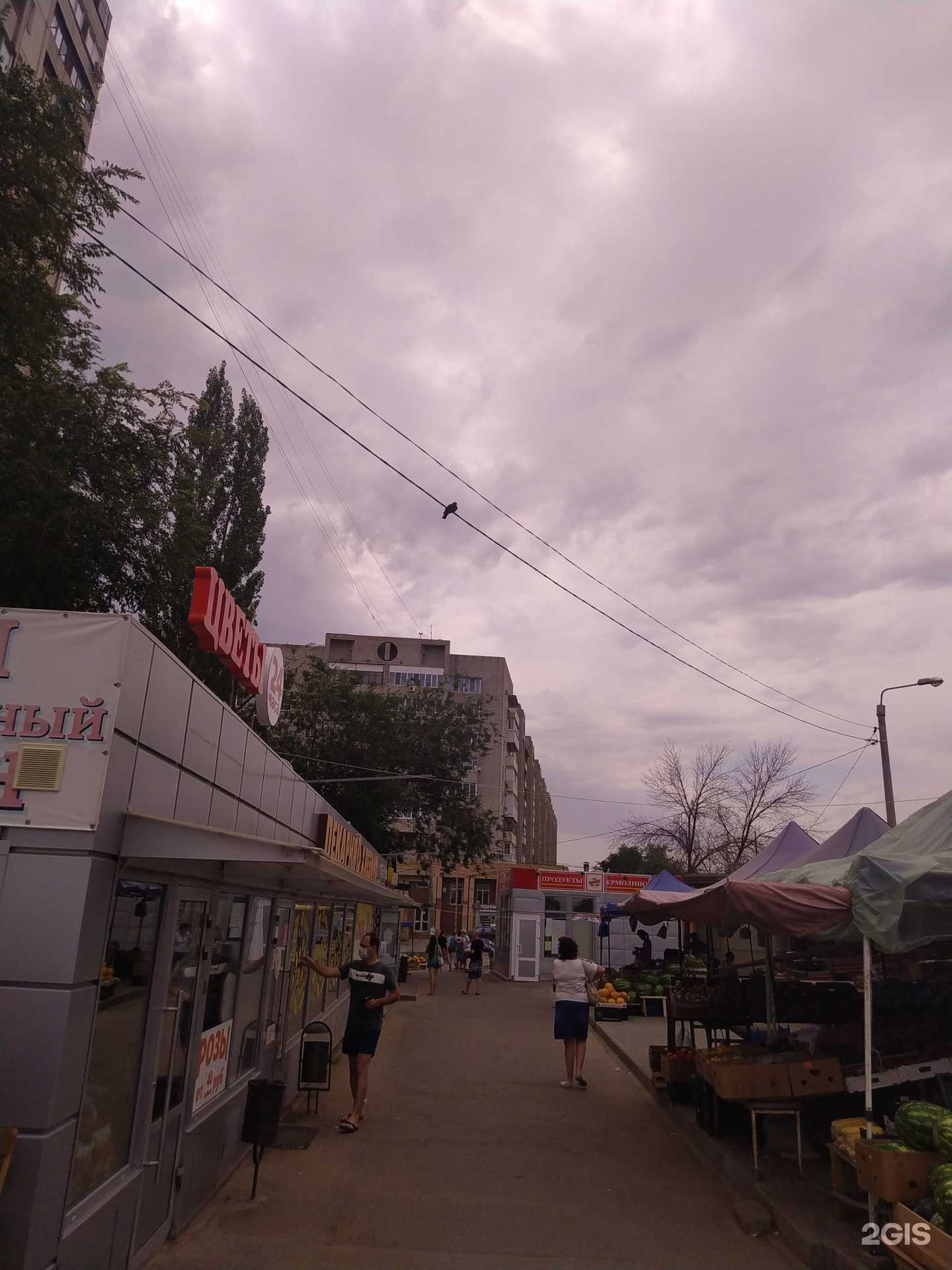 Отзывы на компанию Цветочный магазин в г. Волгоград c фото