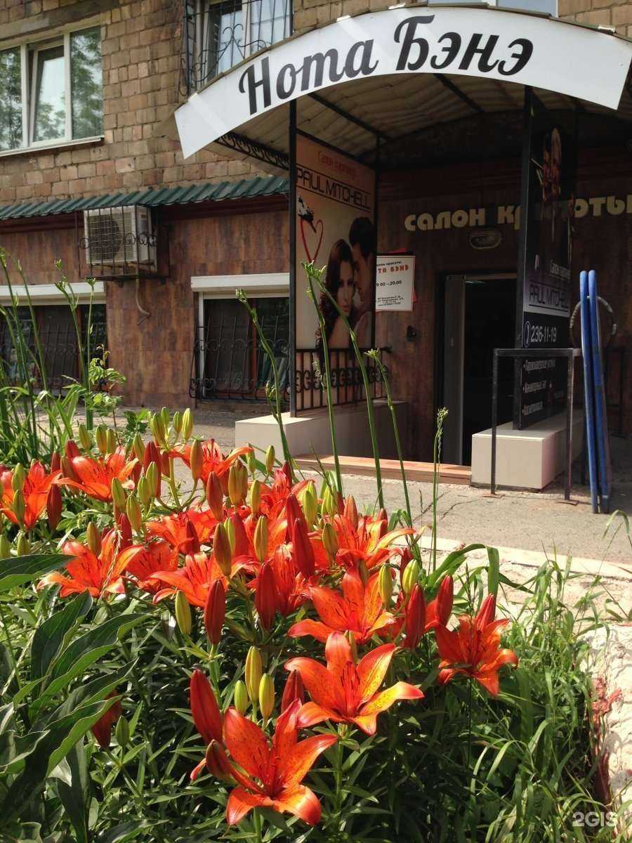 Отзывы на компанию Нота Бэнэ в Владивостоке c фото