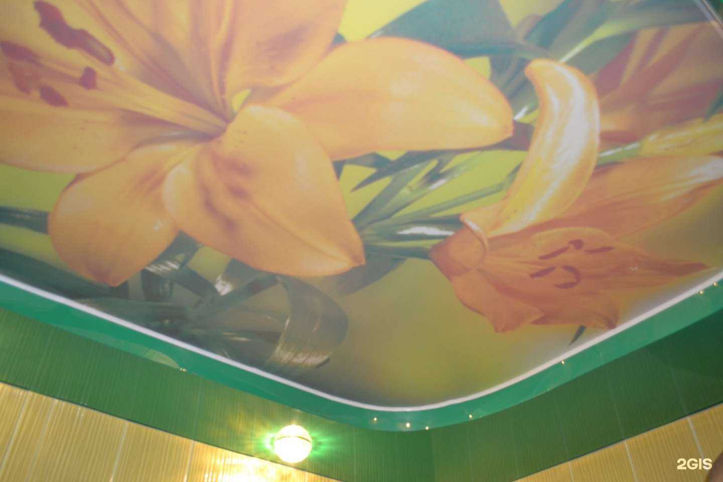 Отзывы на компанию Звездное небо в Нижнем Тагиле c фото