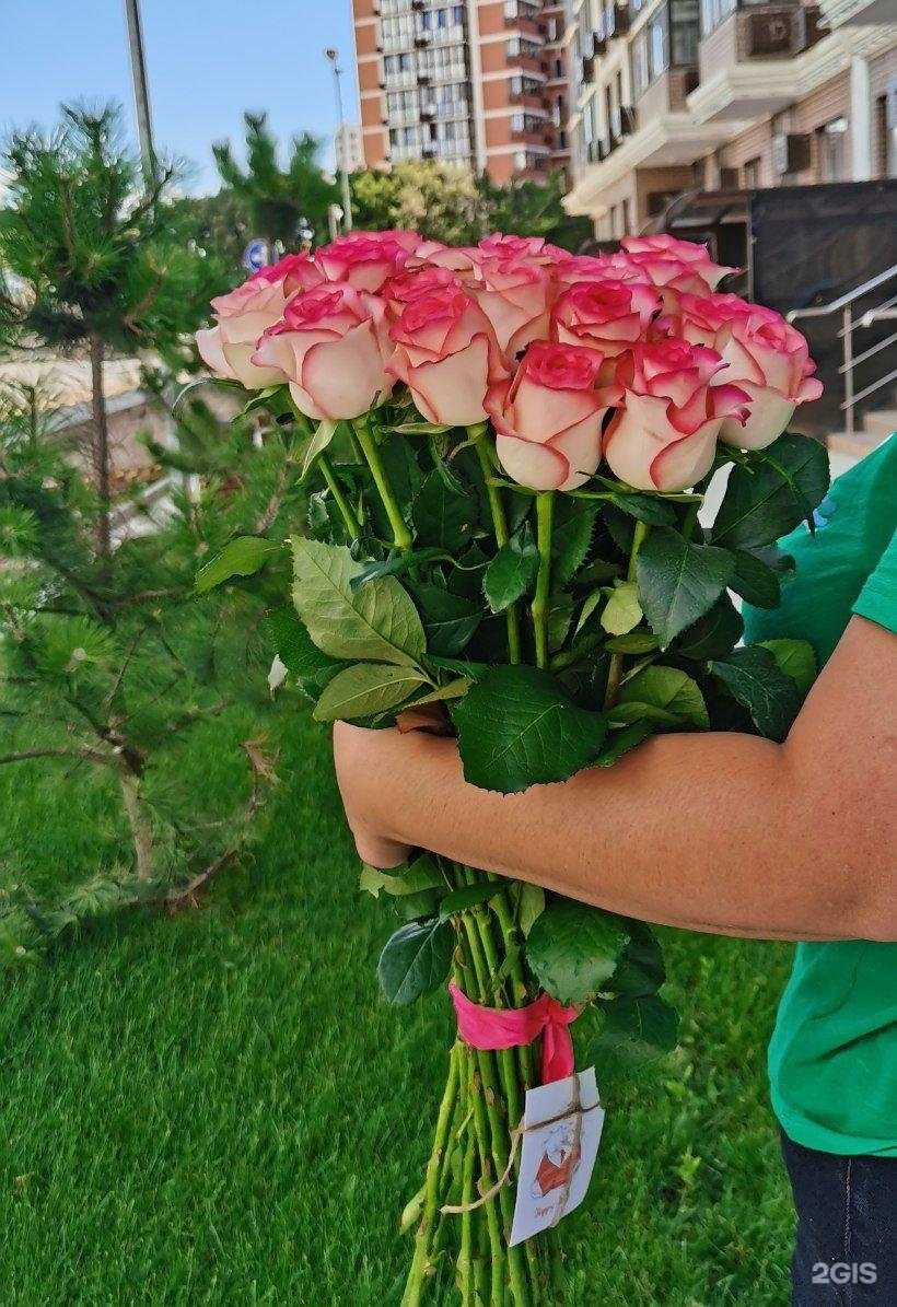 Отзывы на компанию Цветущий город в г. Новороссийск c фото