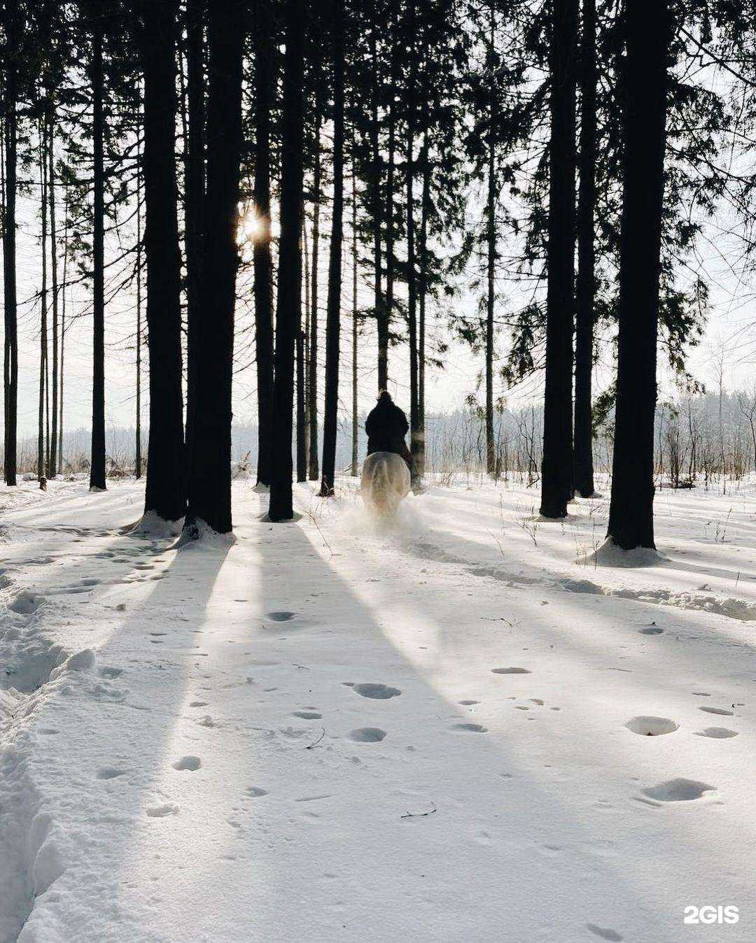 Отзывы на компанию Хлебниково в Долгопрудном c фото