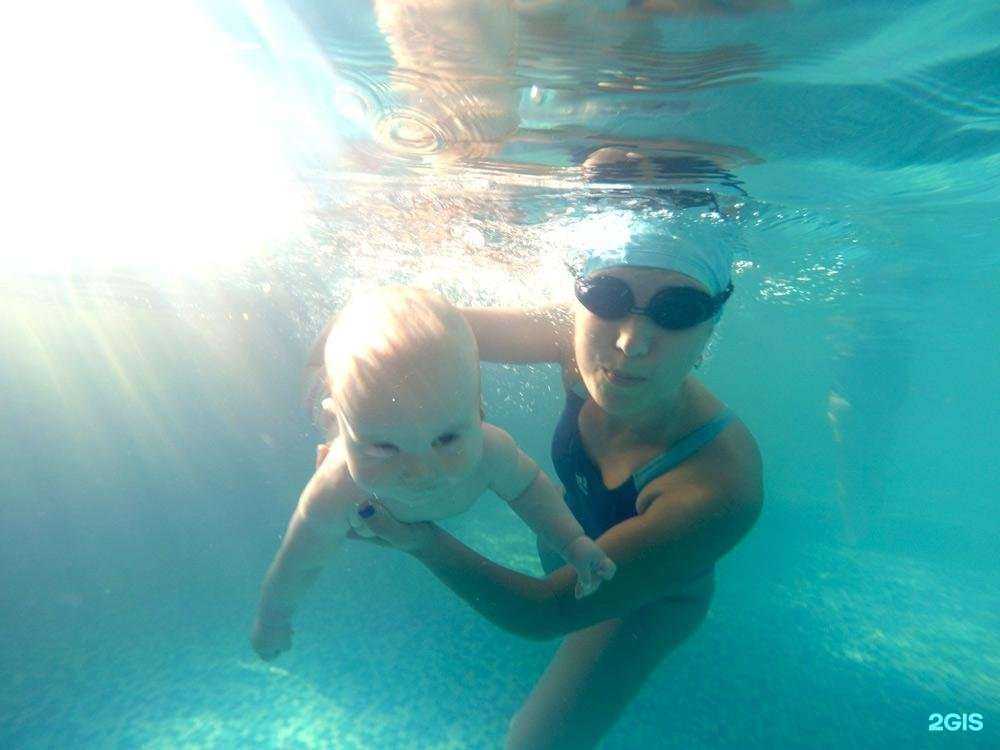 Отзывы на компанию Дельфинчик в г. Абакан c фото