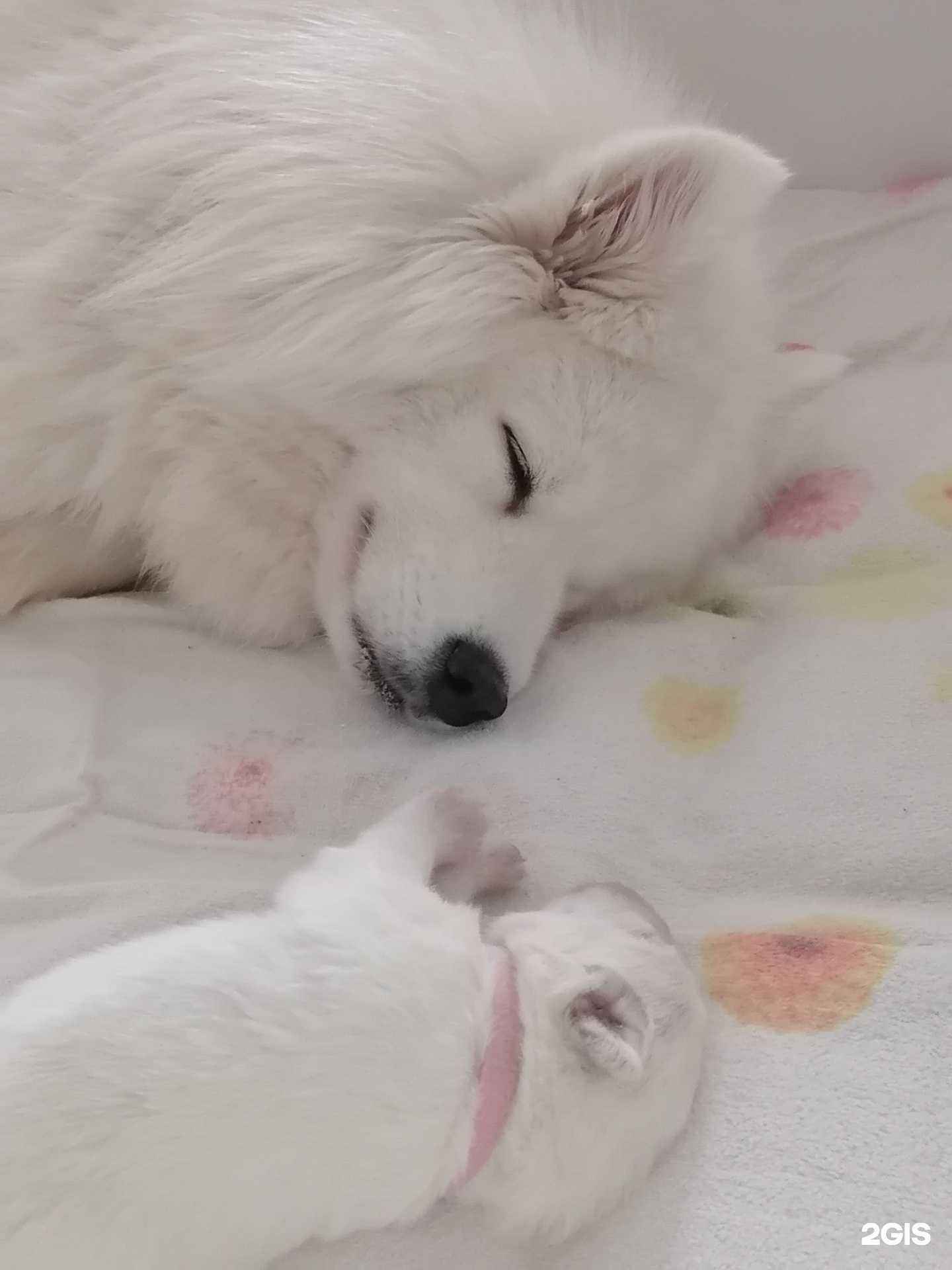 Отзывы на компанию Наследие в г. Челябинск c фото