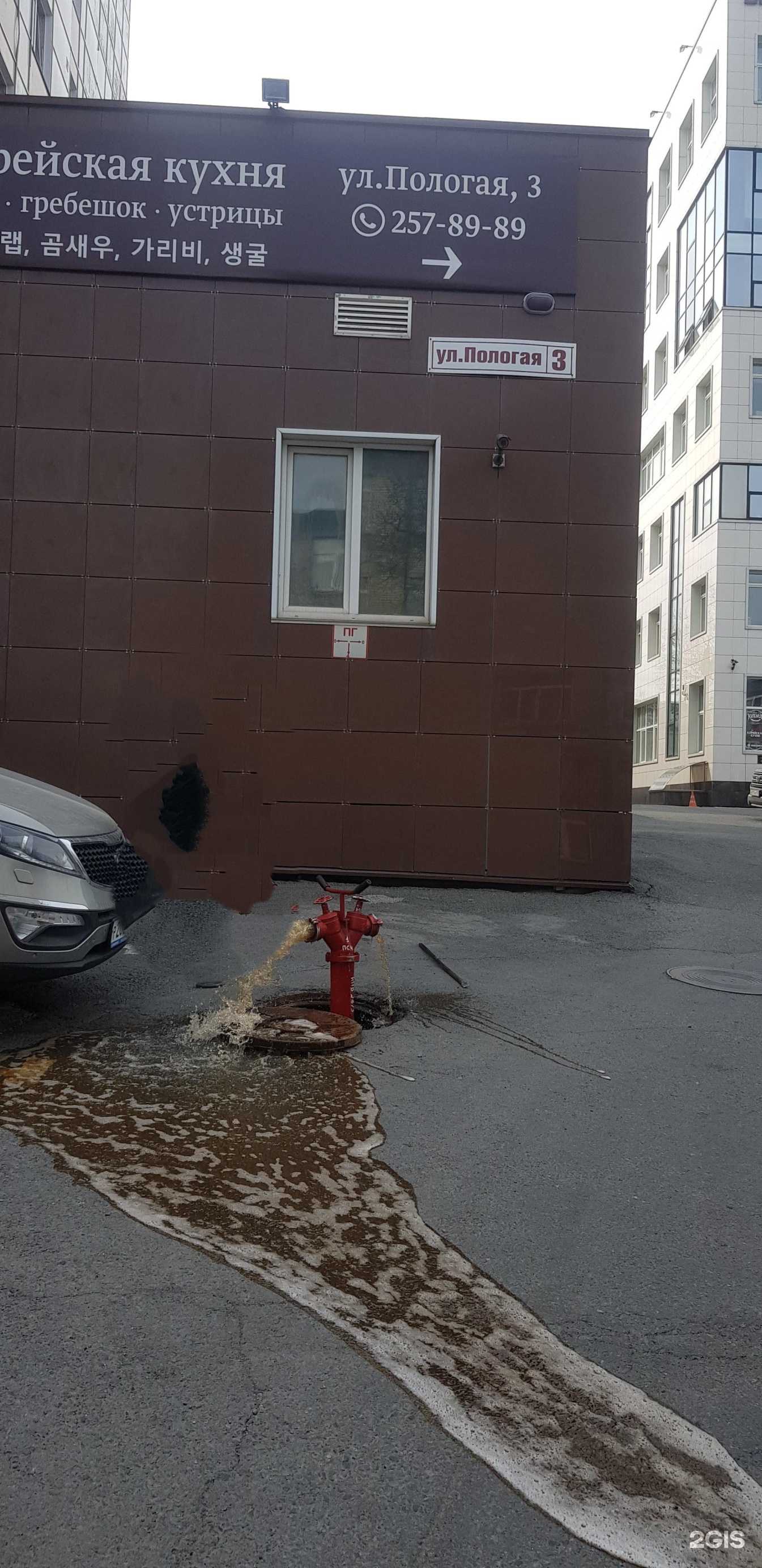 Отзывы на компанию Vip сервис в Владивостоке c фото - фотография 2 из 2