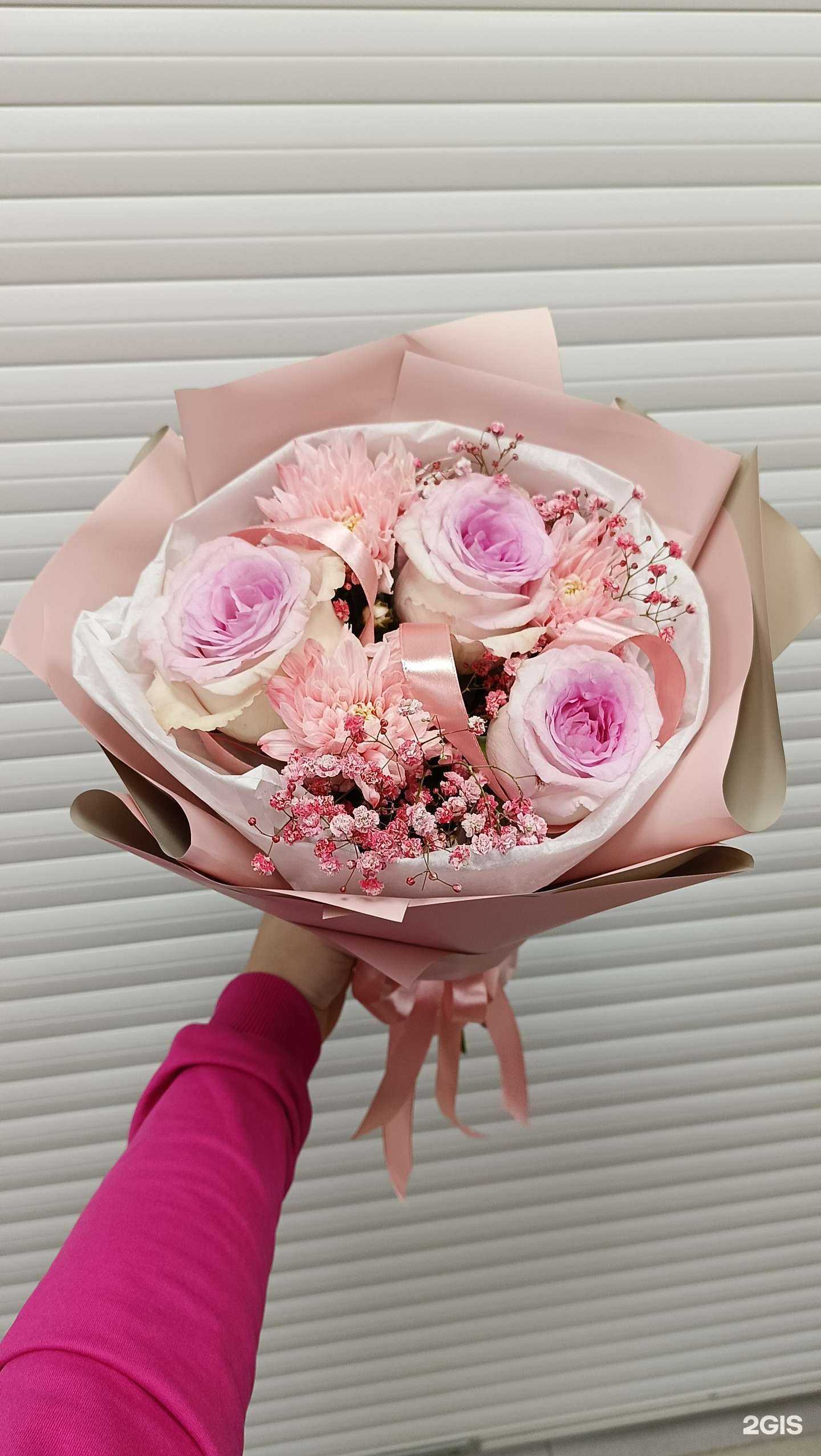 Отзывы на компанию Шустрый куст в г. Новосибирск c фото