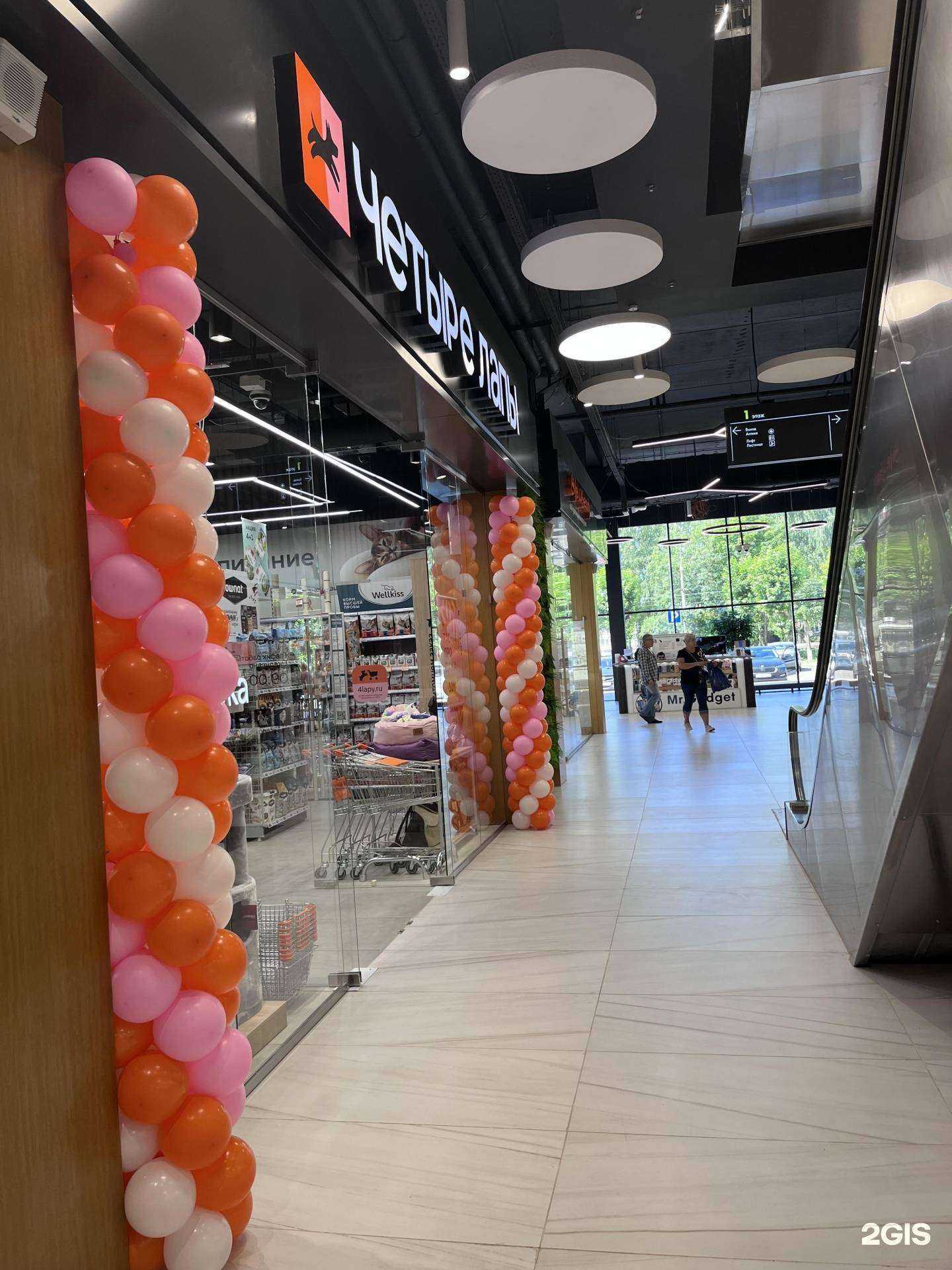 Отзывы на компанию Четыре лапы в Владимире c фото