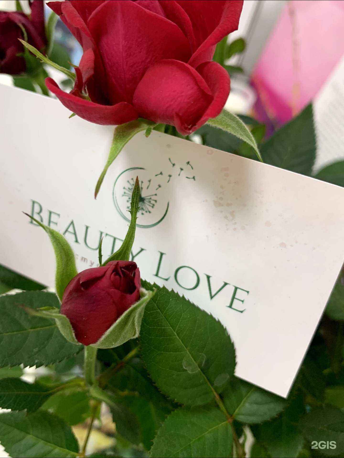 Отзывы на компанию Beauty Love в Северодвинске c фото