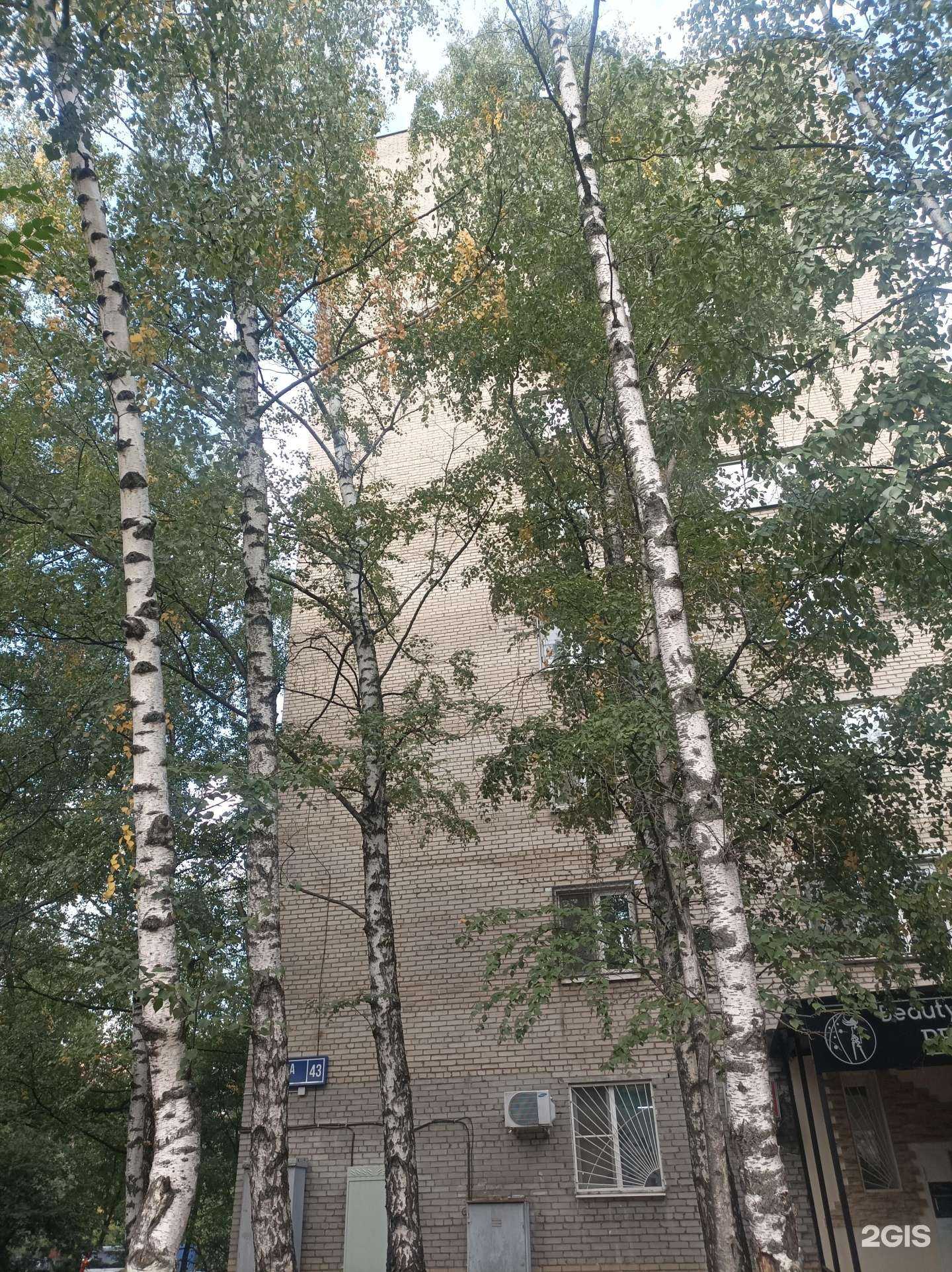 Отзывы на компанию Живая вода в Реутове c фото - фотография 2 из 2