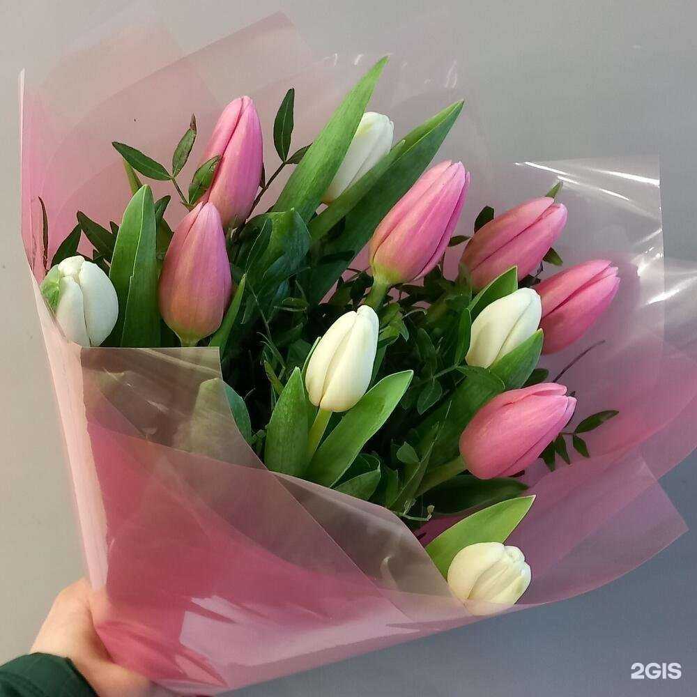 Отзывы на компанию My Little Garden в г. Петрозаводск c фото