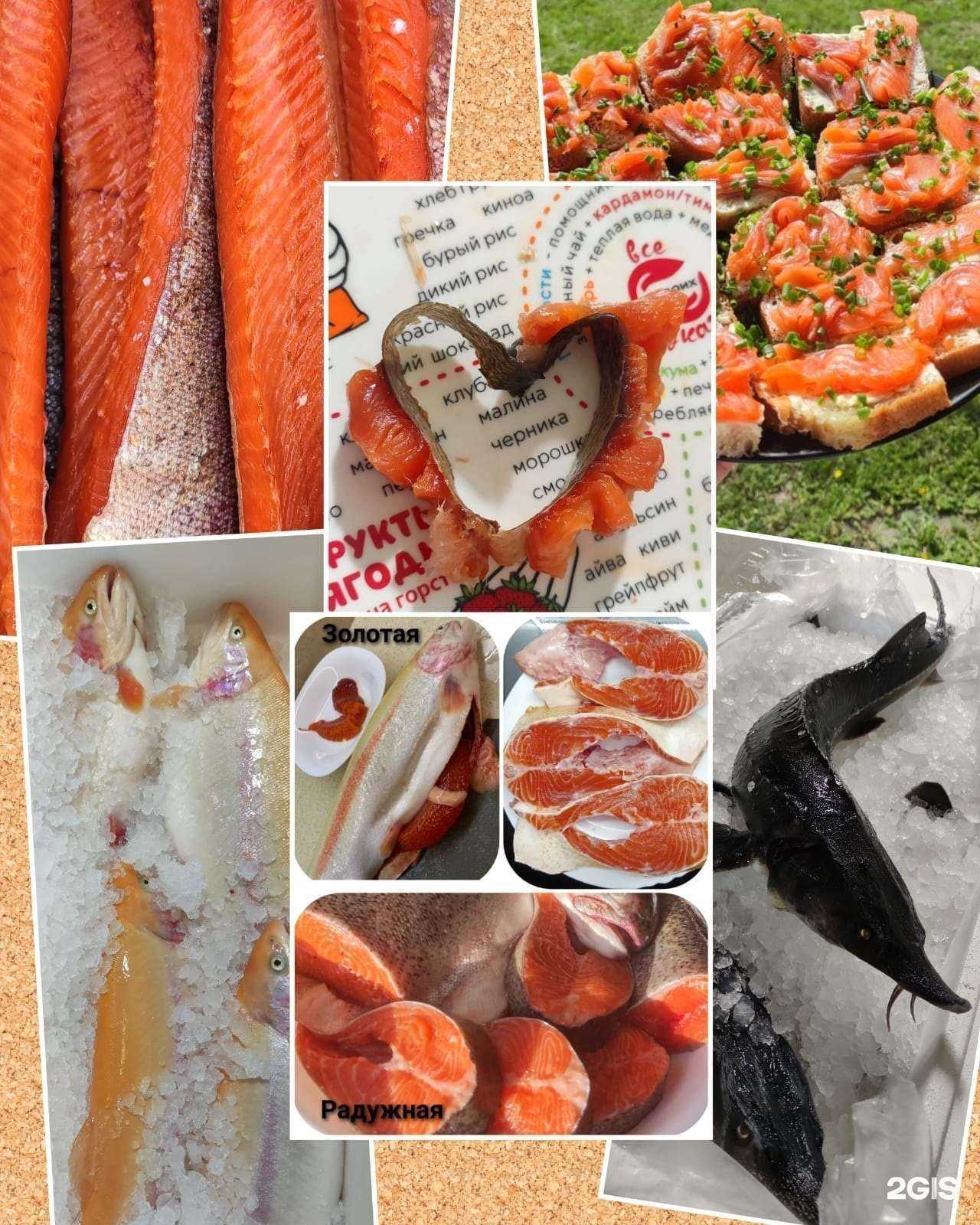 Отзывы на компанию Магазин форели и осетра из Хакасии в Новосибирске c фото