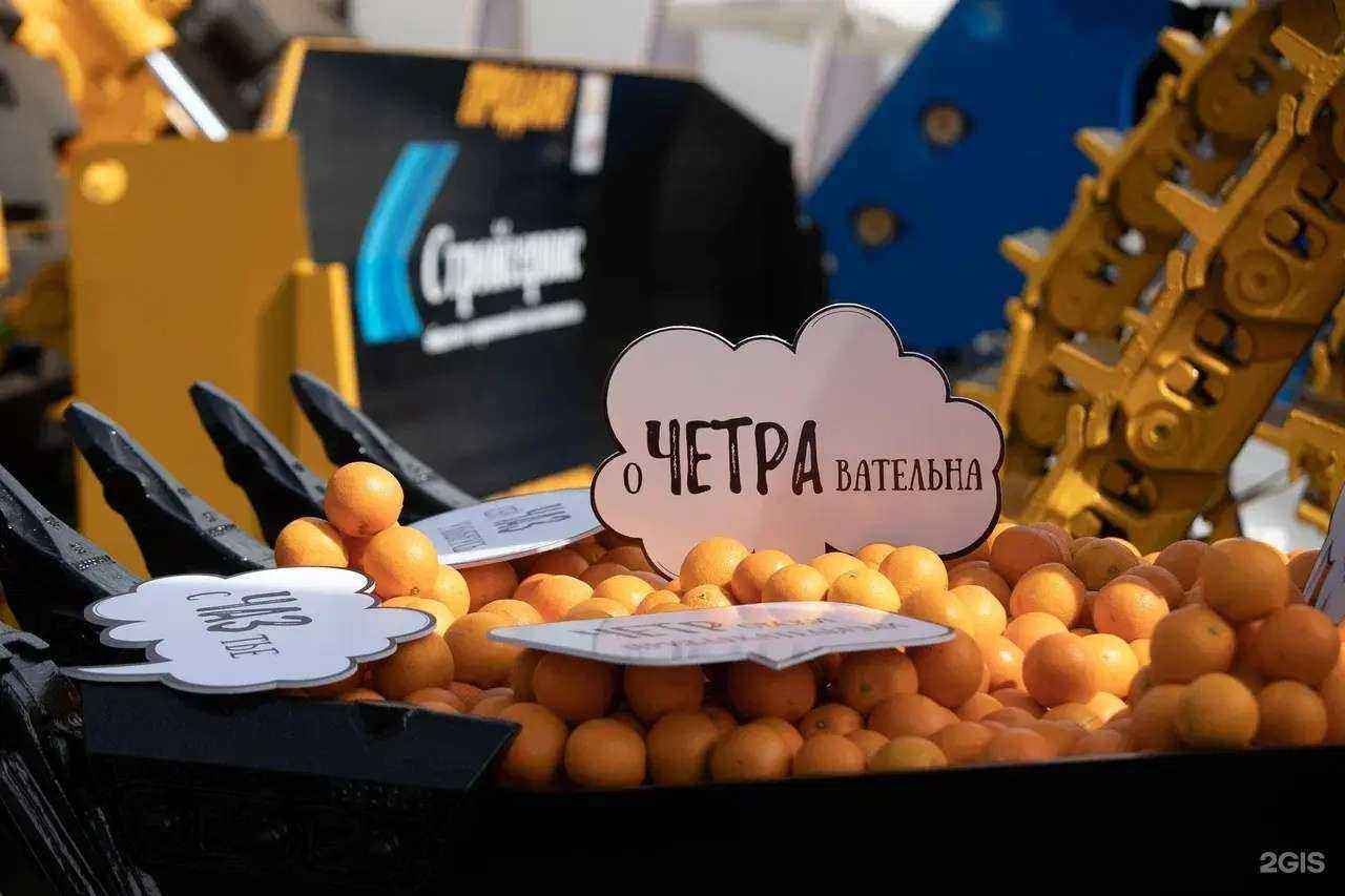 Отзывы на компанию Event-V в Новокузнецке c фото