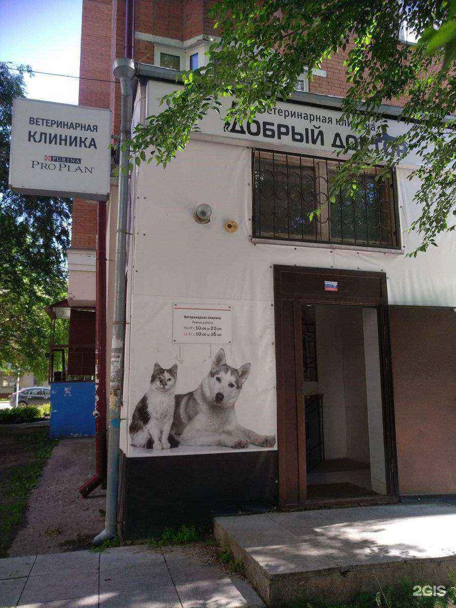 Отзывы на компанию Добрый доктор в г. Тюмень c фото