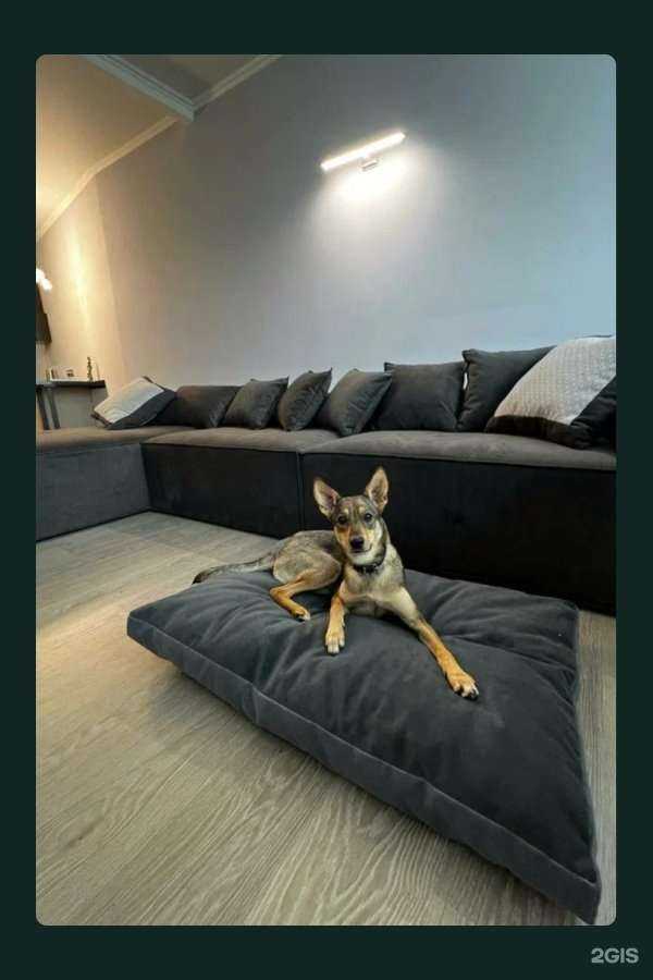 Отзывы на компанию Regatto в Набережных Челнах c фото