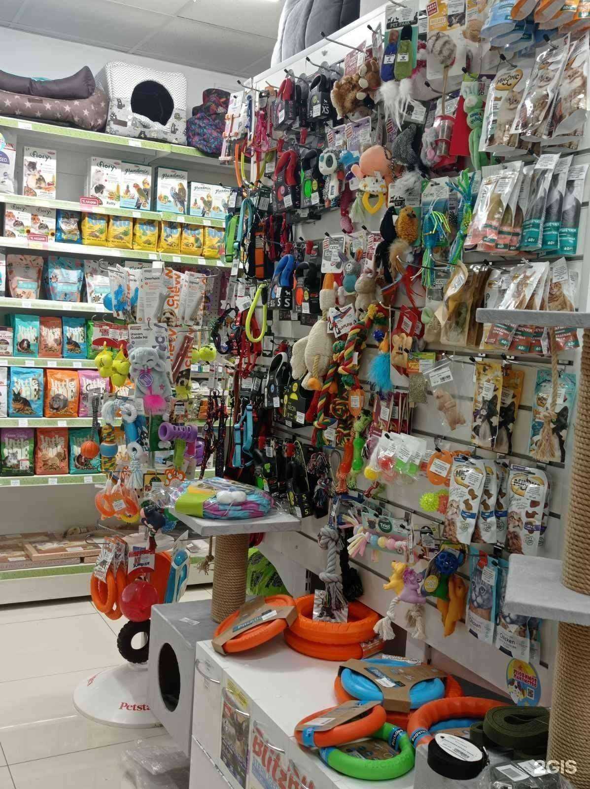 Отзывы на компанию Зоо43 в Кирове c фото