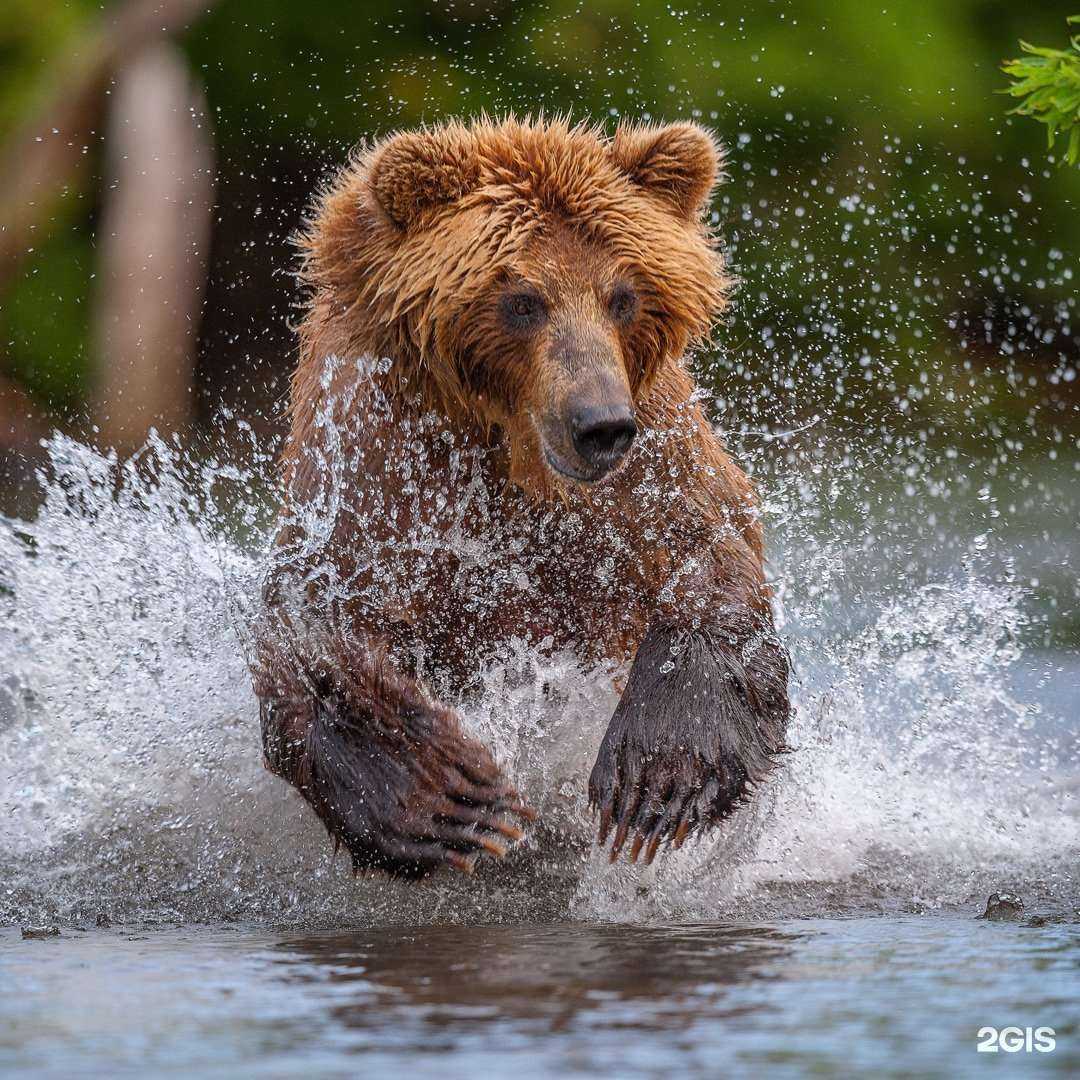 Отзывы на компанию Фа-Студио в Кирове c фото