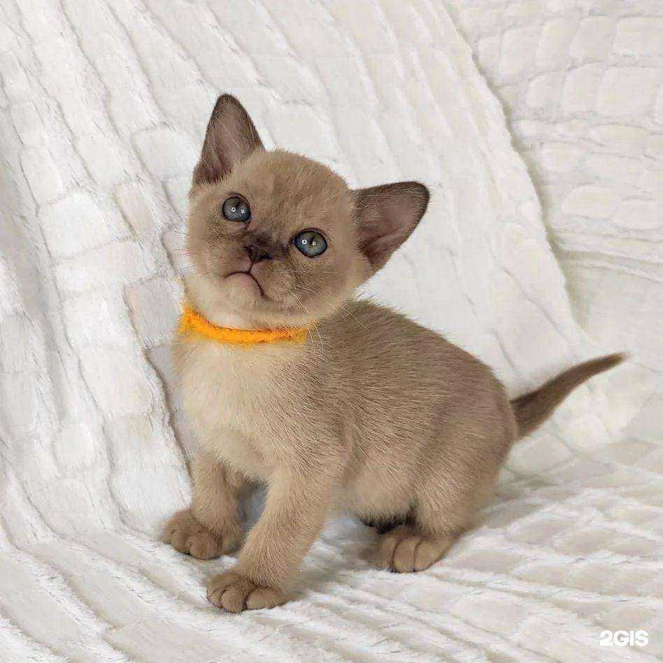 Отзывы на компанию Зоомир в Серове c фото