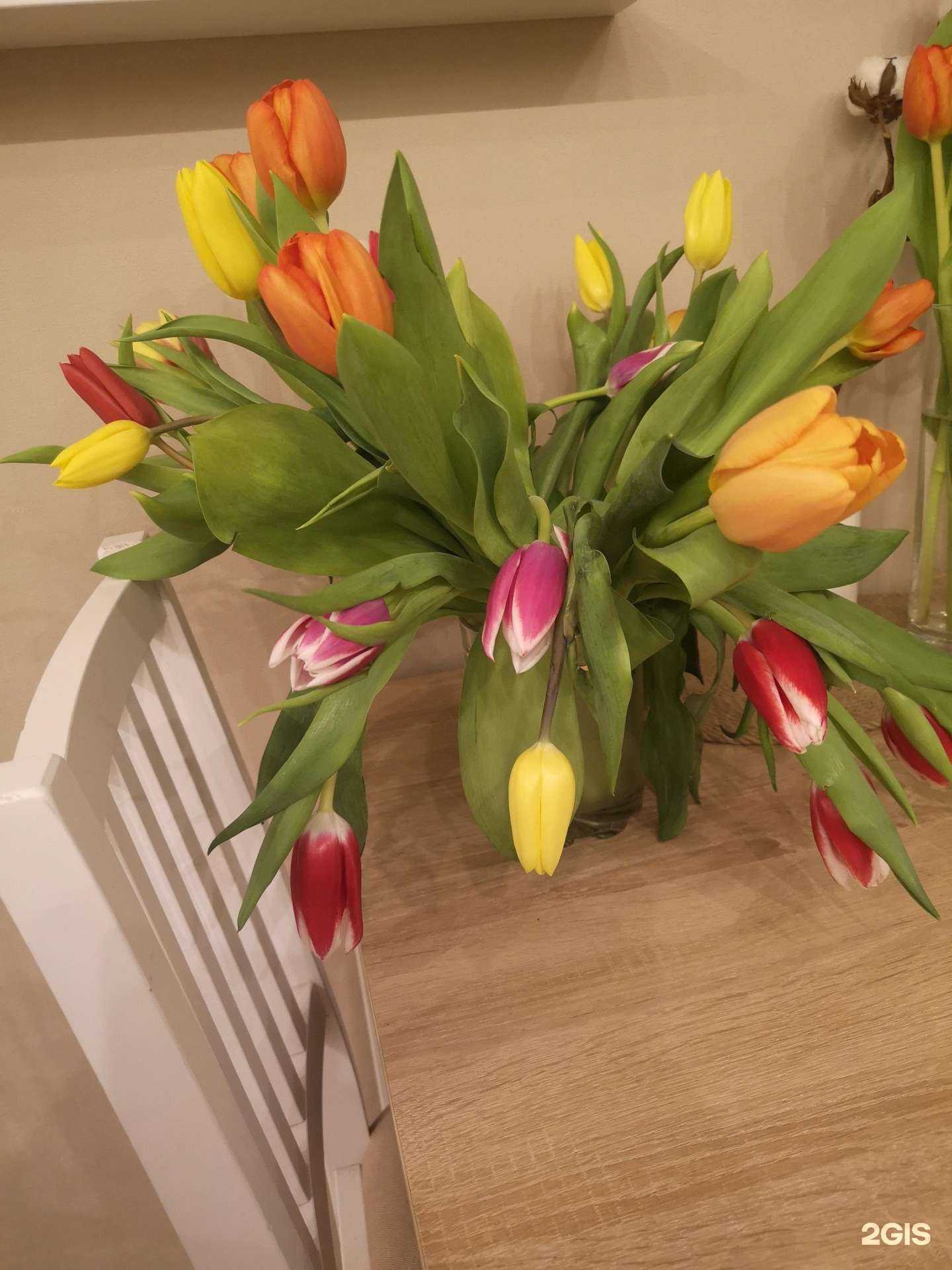 Отзывы на компанию Гелиантус в г. Калининград c фото