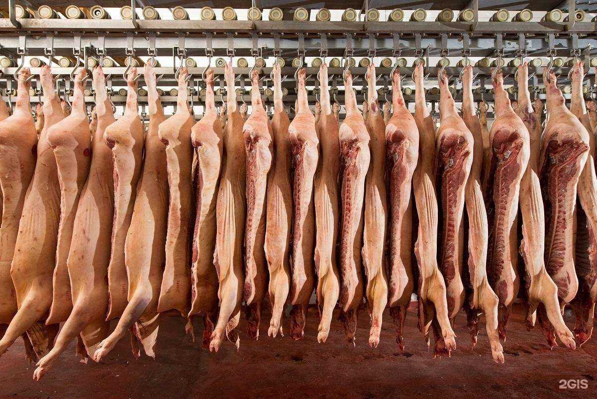 Отзывы на компанию Сибагромаркет в г. Екатеринбург c фото