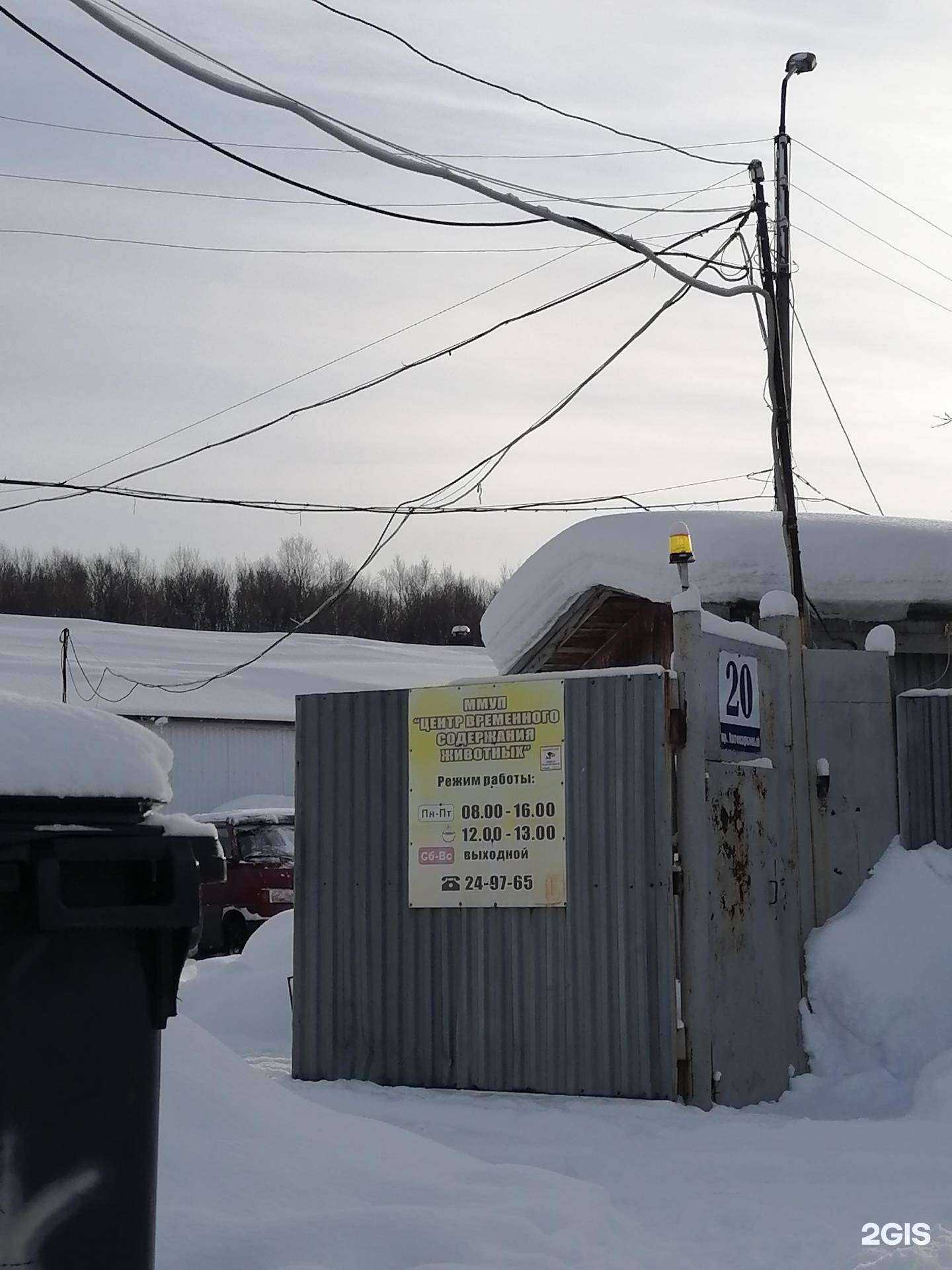 Отзывы на компанию Центр содержания животных в Мурманске c фото