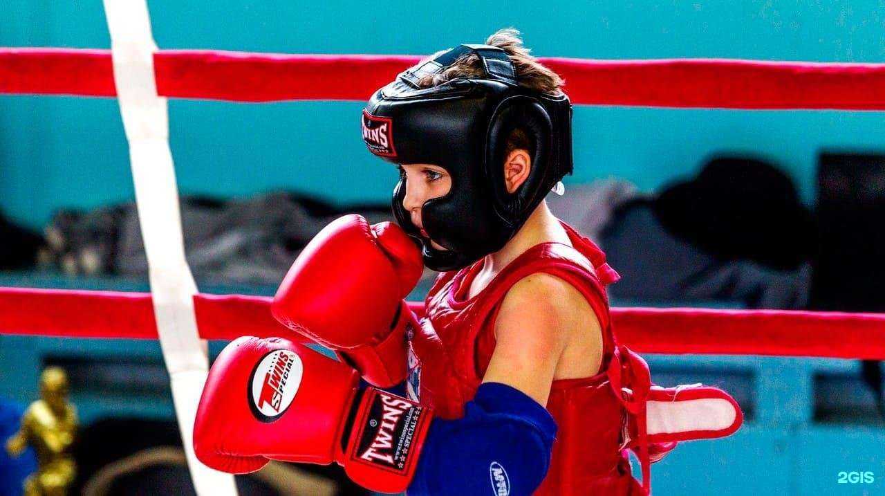 Отзывы на компанию Академия бокса в Нижнем Новгороде c фото