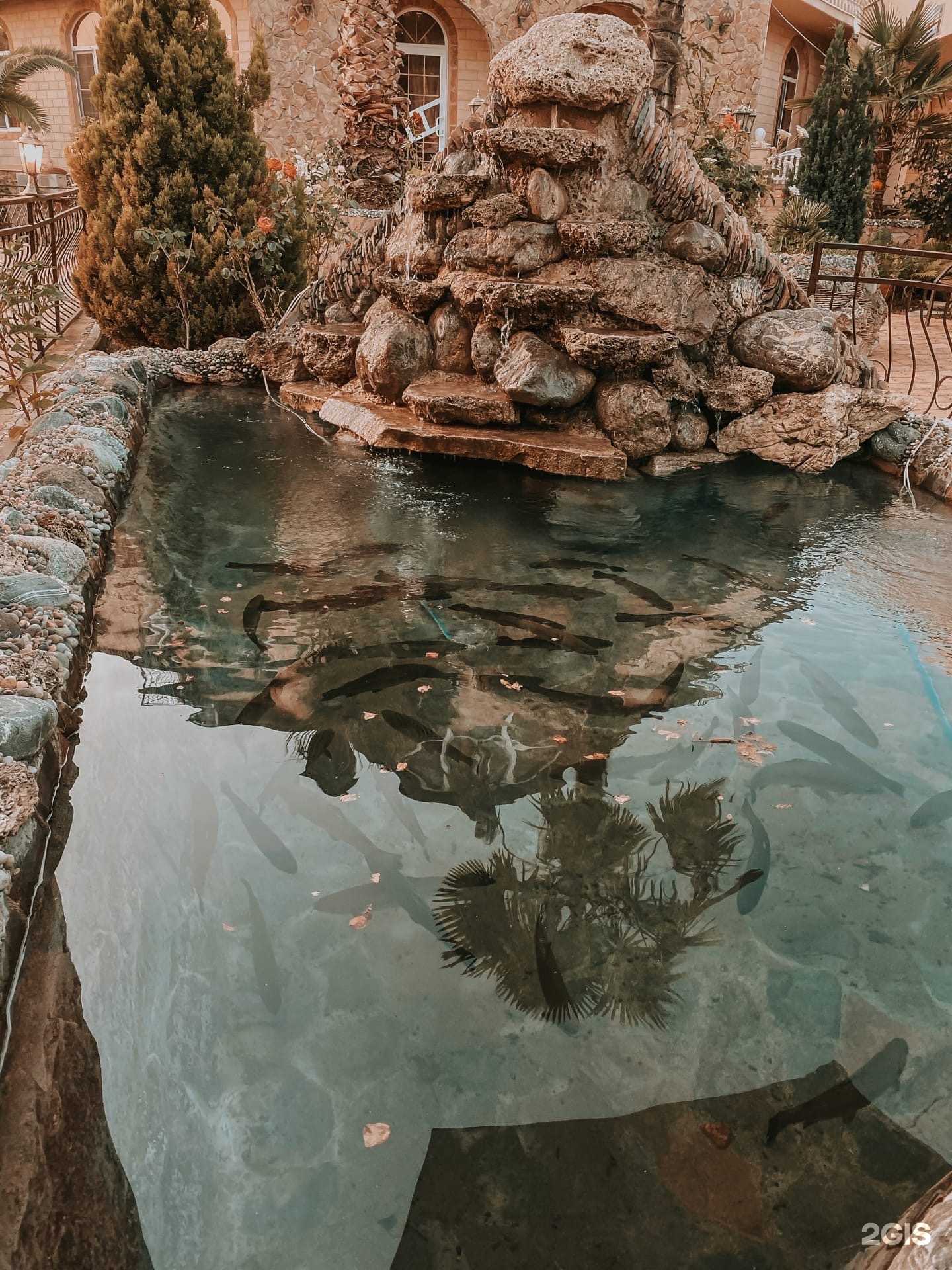 Отзывы на компанию София в Сочи c фото