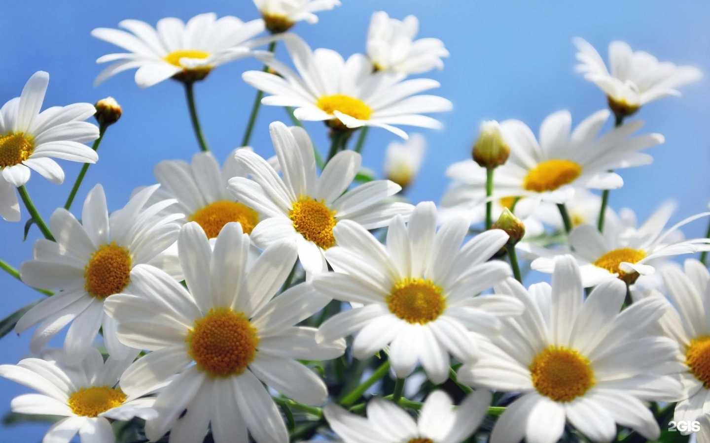 Отзывы на компанию Аналитик в Омске c фото