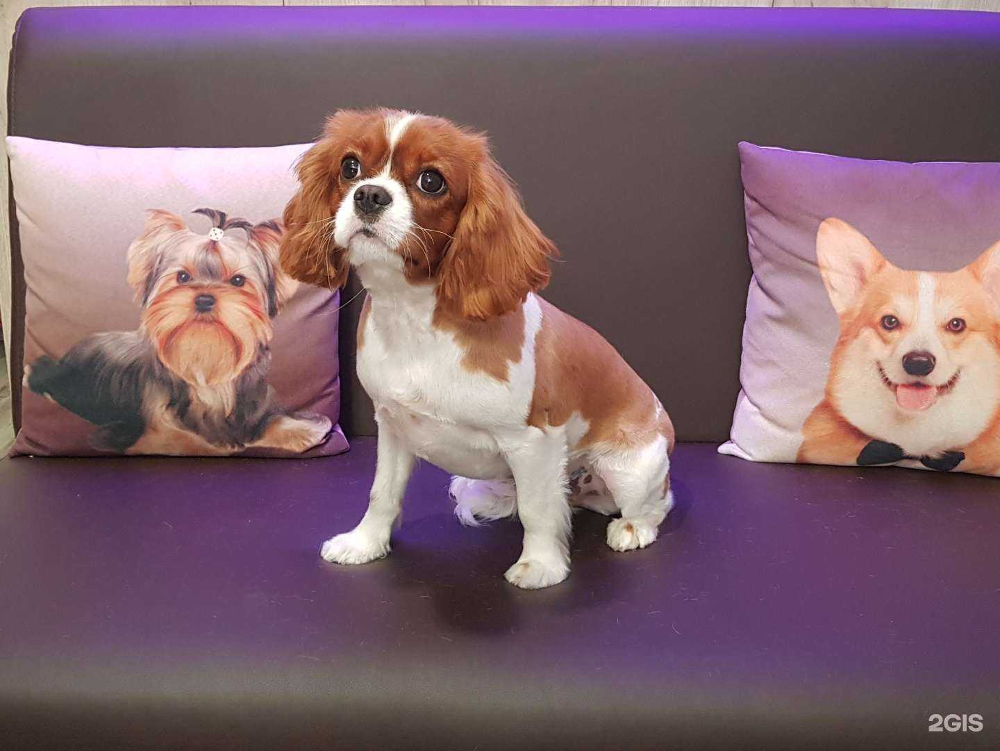 Отзывы на компанию Гавбург в г. Сочи c фото