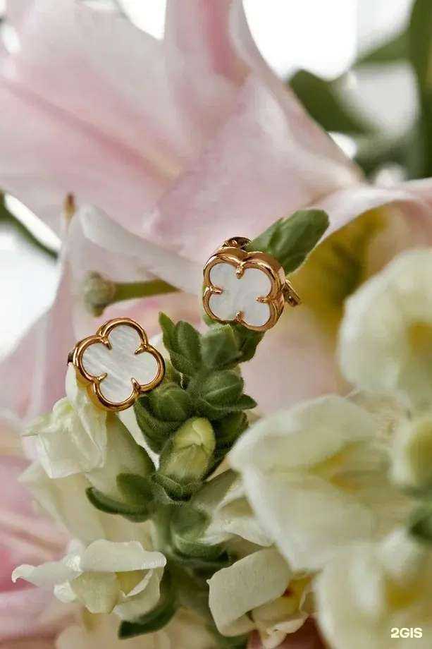 Отзывы на компанию Best Gold в г. Анапа c фото