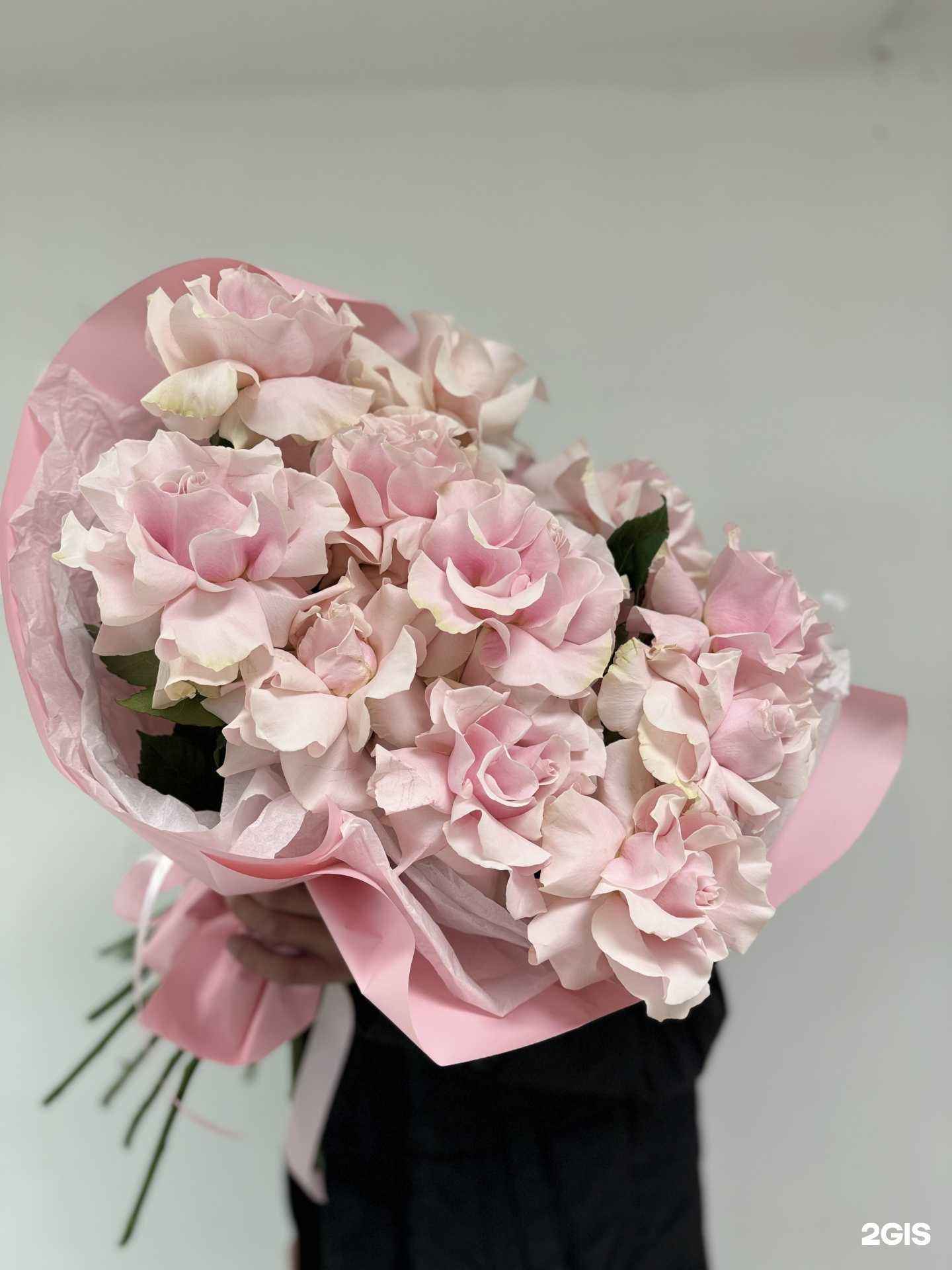 Отзывы на компанию Ветка  в г. Пермь c фото