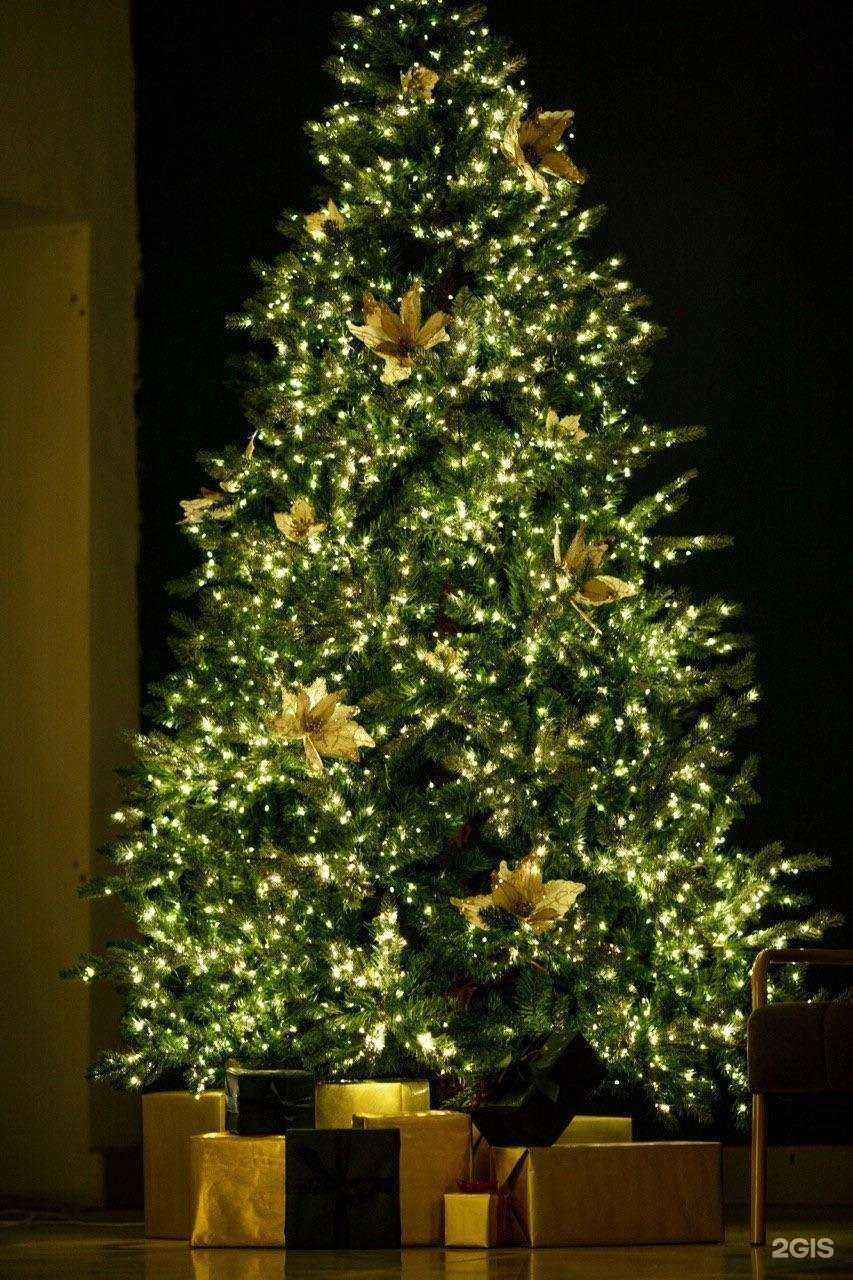 Отзывы на компанию ЮStudio 88 в Лесозаводске c фото