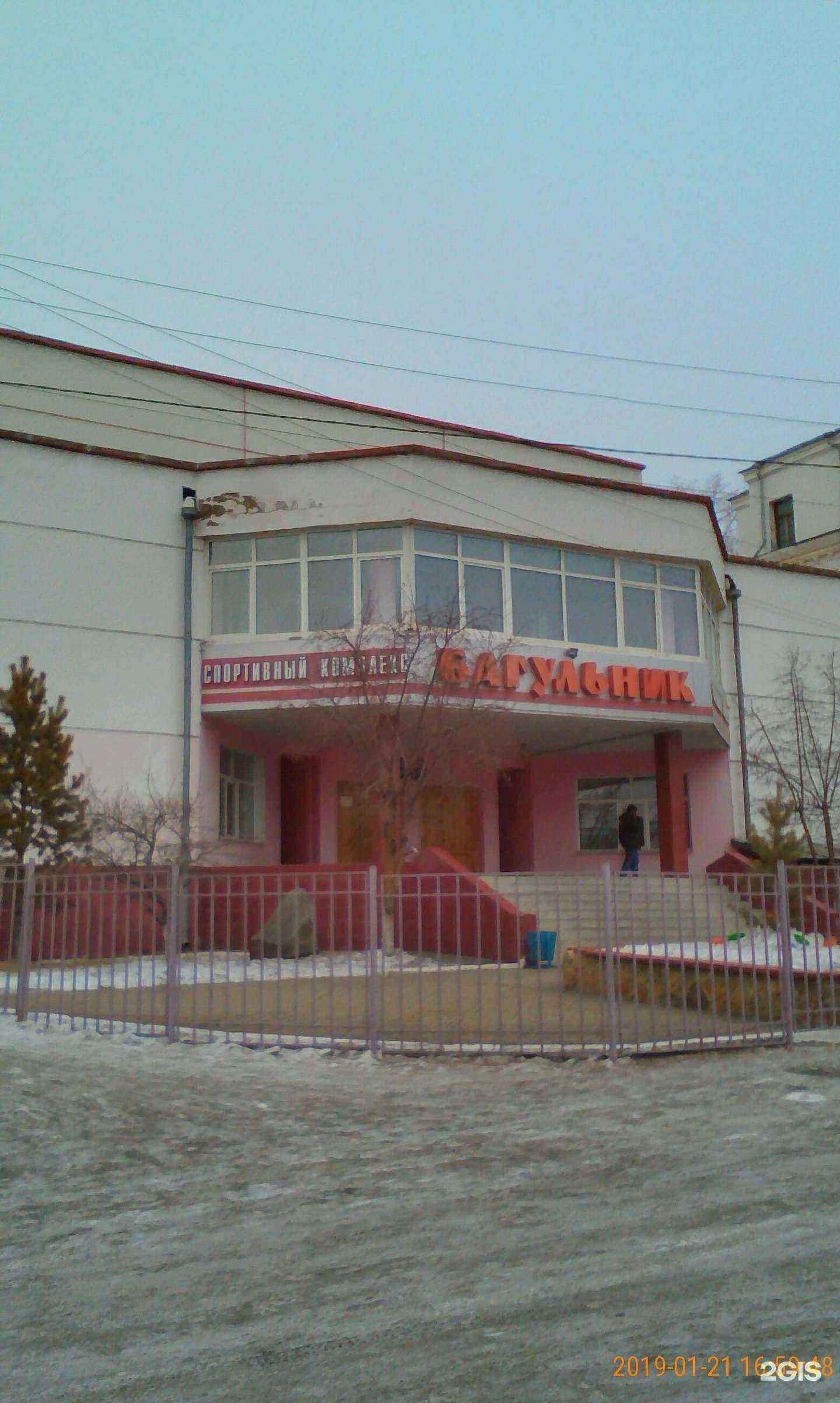 Отзывы на компанию Багульник в Чите c фото