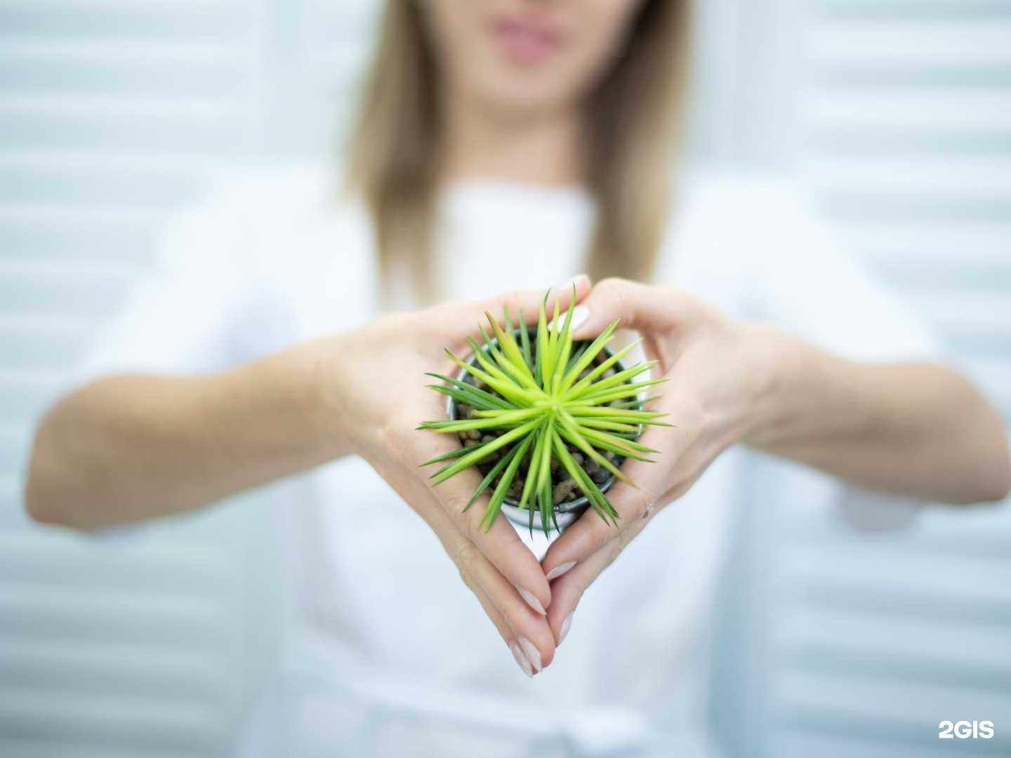 Отзывы на компанию Дамская эстет комната в г. Липецк c фото