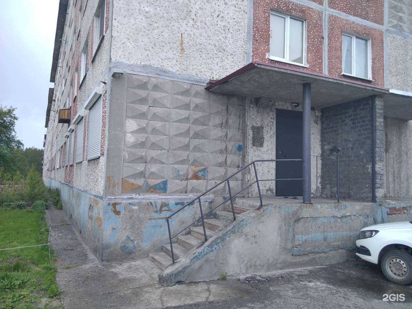 Отзывы на компанию Самый красивый пёс в Кандалакше c фото