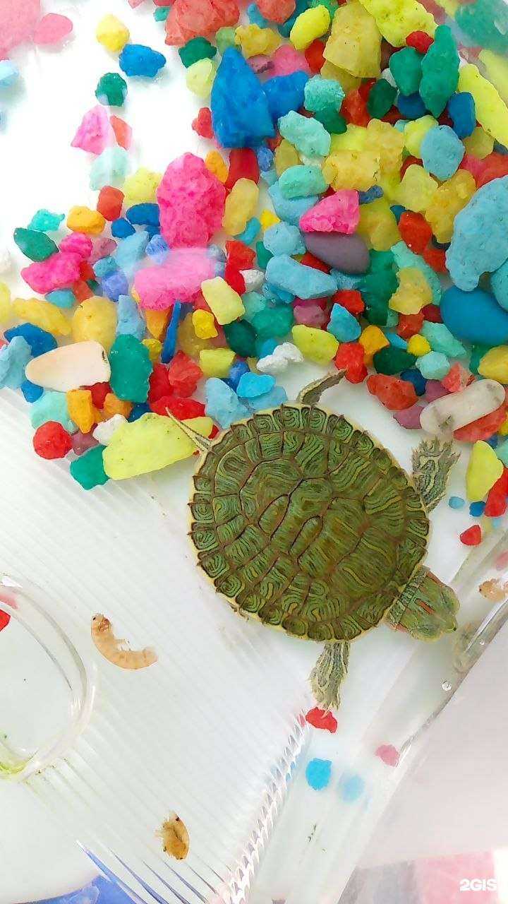 Отзывы на компанию Тепломир в г. Петрозаводск c фото